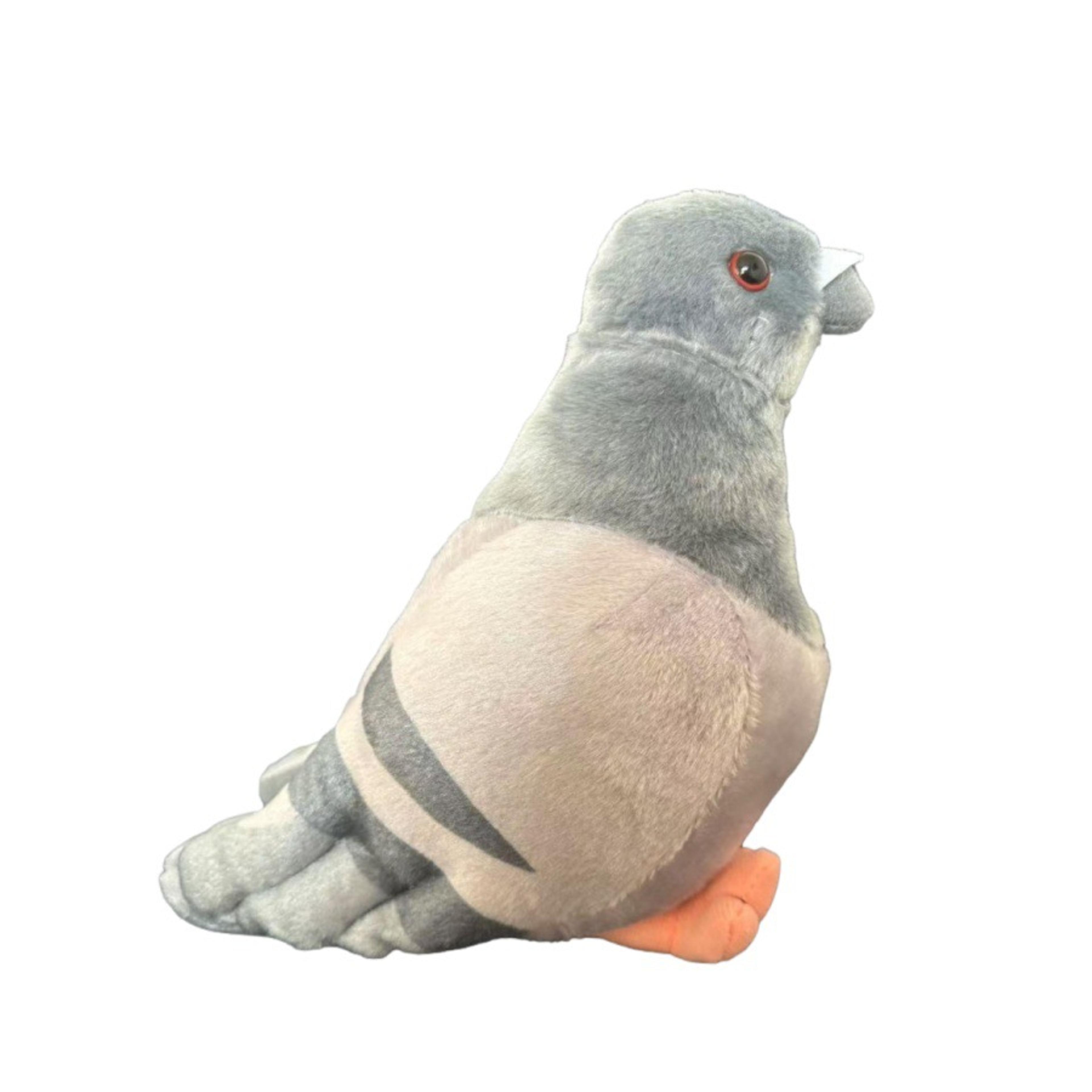 Thumbnail Image