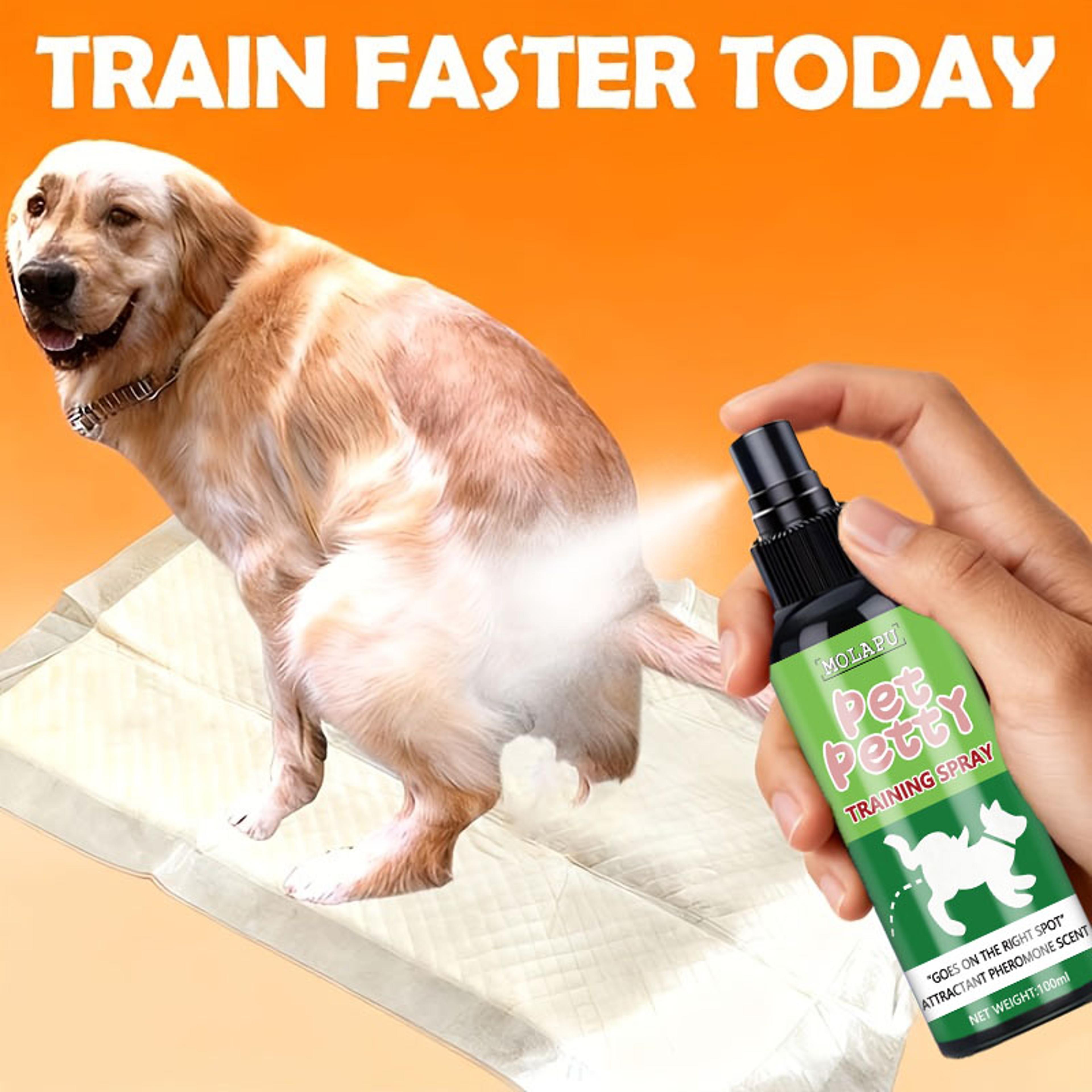 pet toilet training spray for puppies and kittens indoor potty training aid