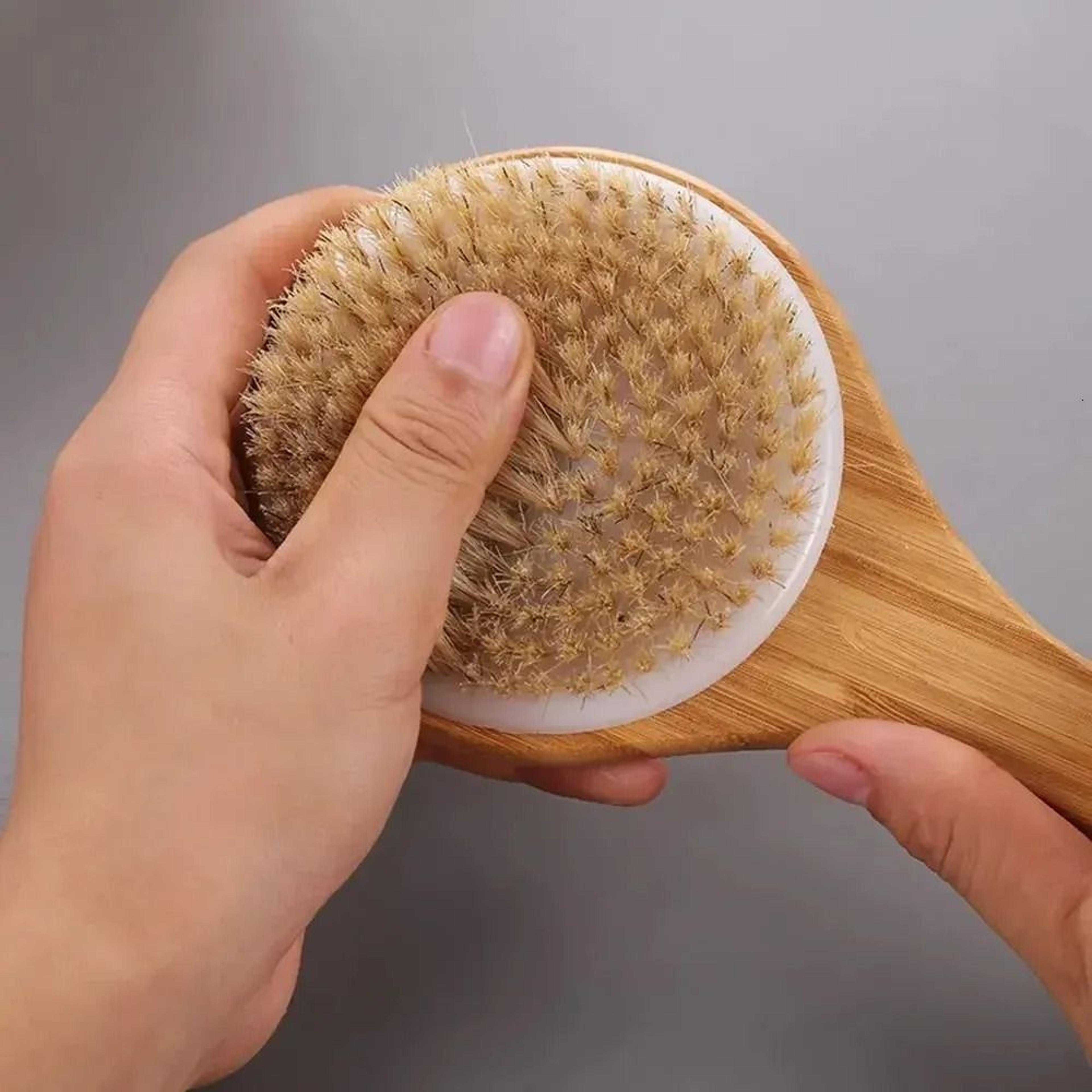 Long Handle Boar Bristle Body Brush For Dry Brushing And Back Exfoliation 2