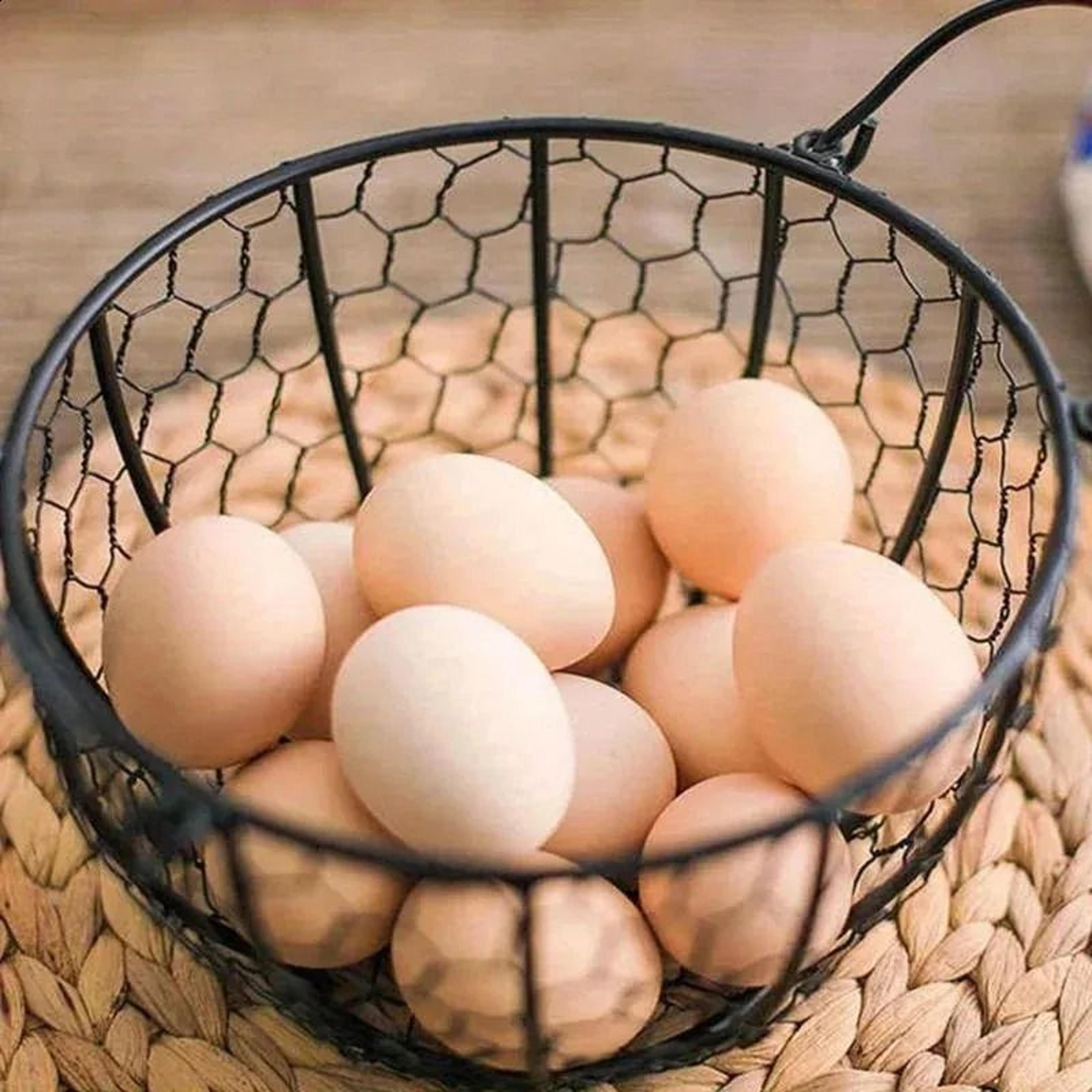 Metal Wire Egg Basket With Chicken Wire Cover Durable Kitchen Egg Storage Organizer 0