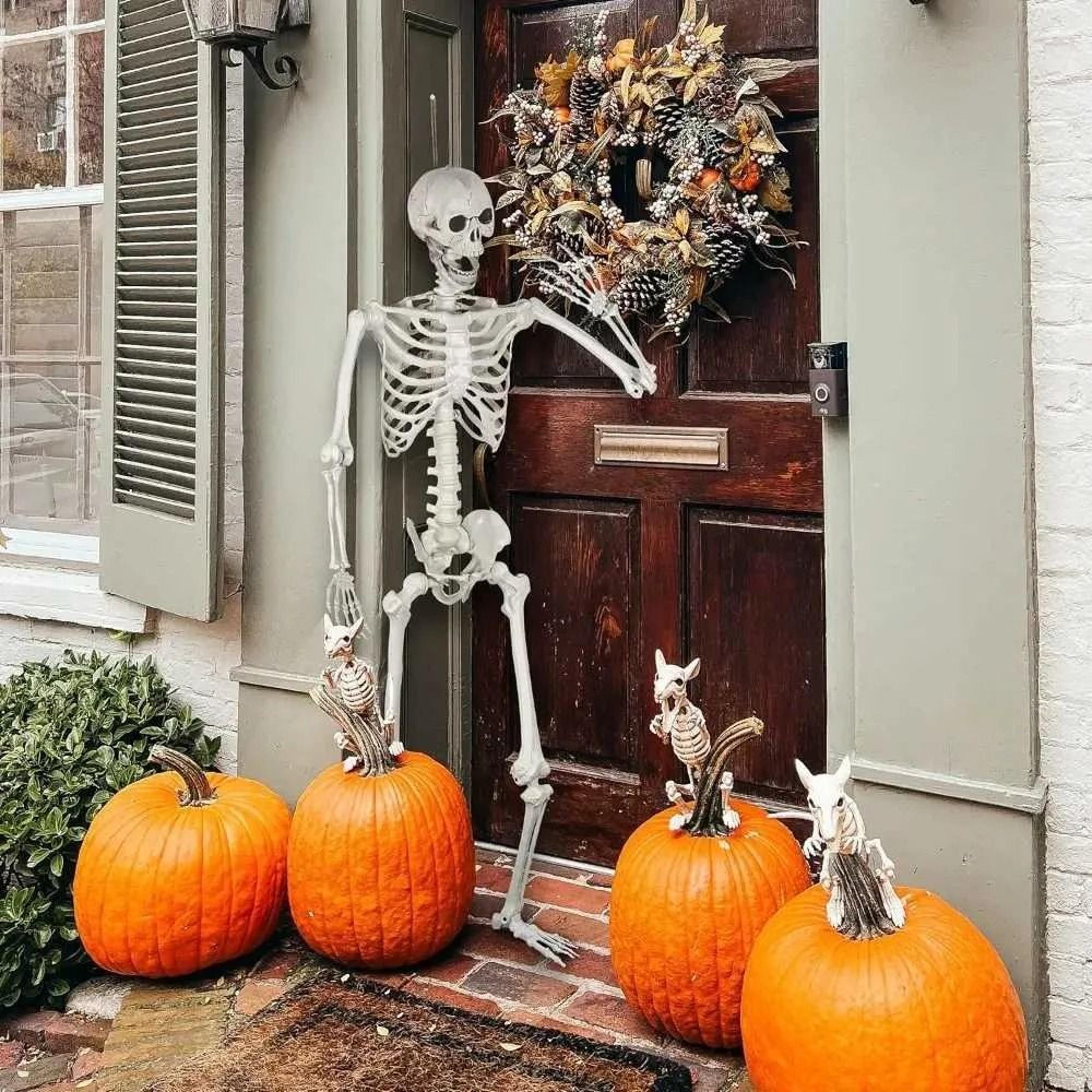 Posable Halloween Skeleton Decoration With Movable Joints 3