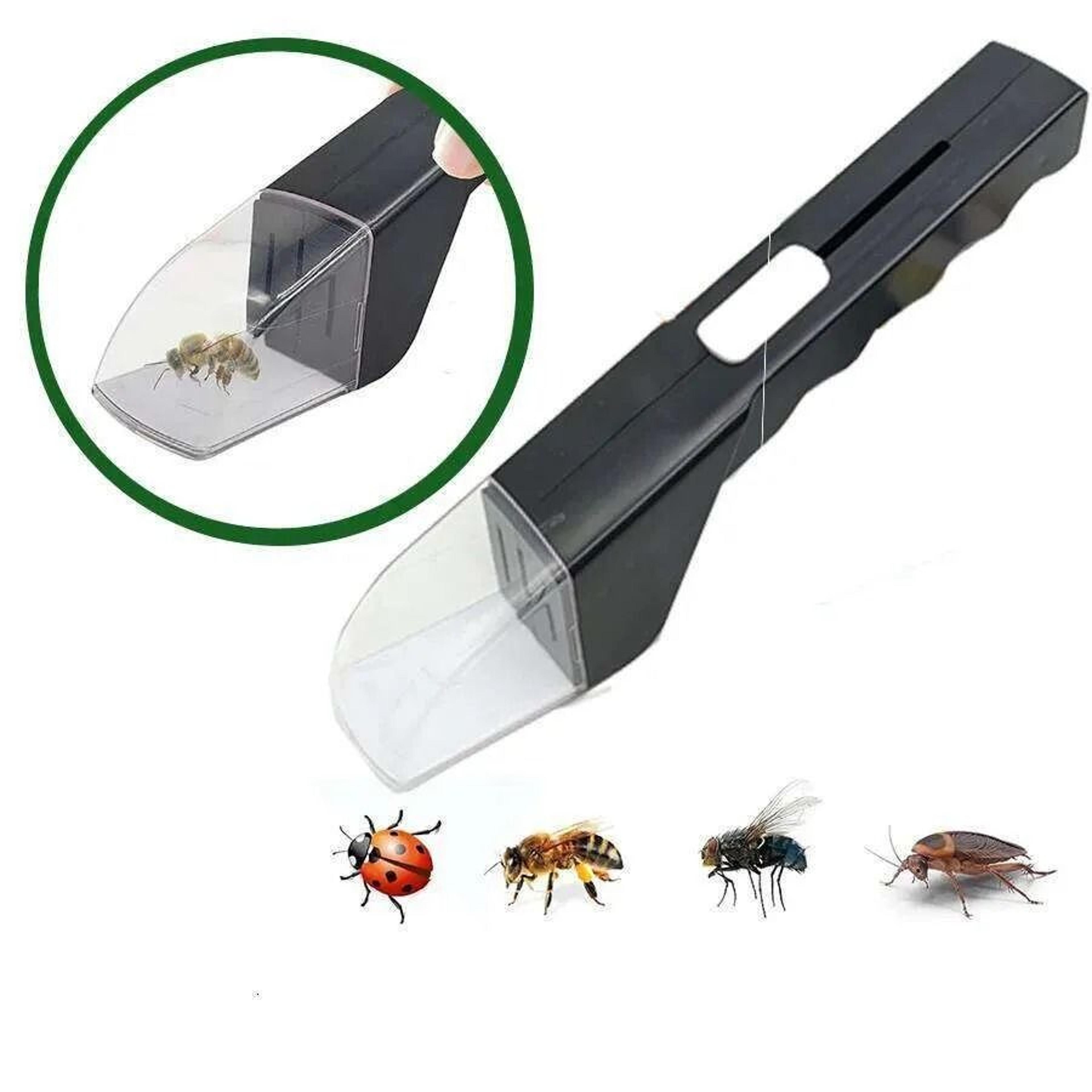 Bug Catcher Tool With Clear Viewing Window And Quick Release Mechanism 0