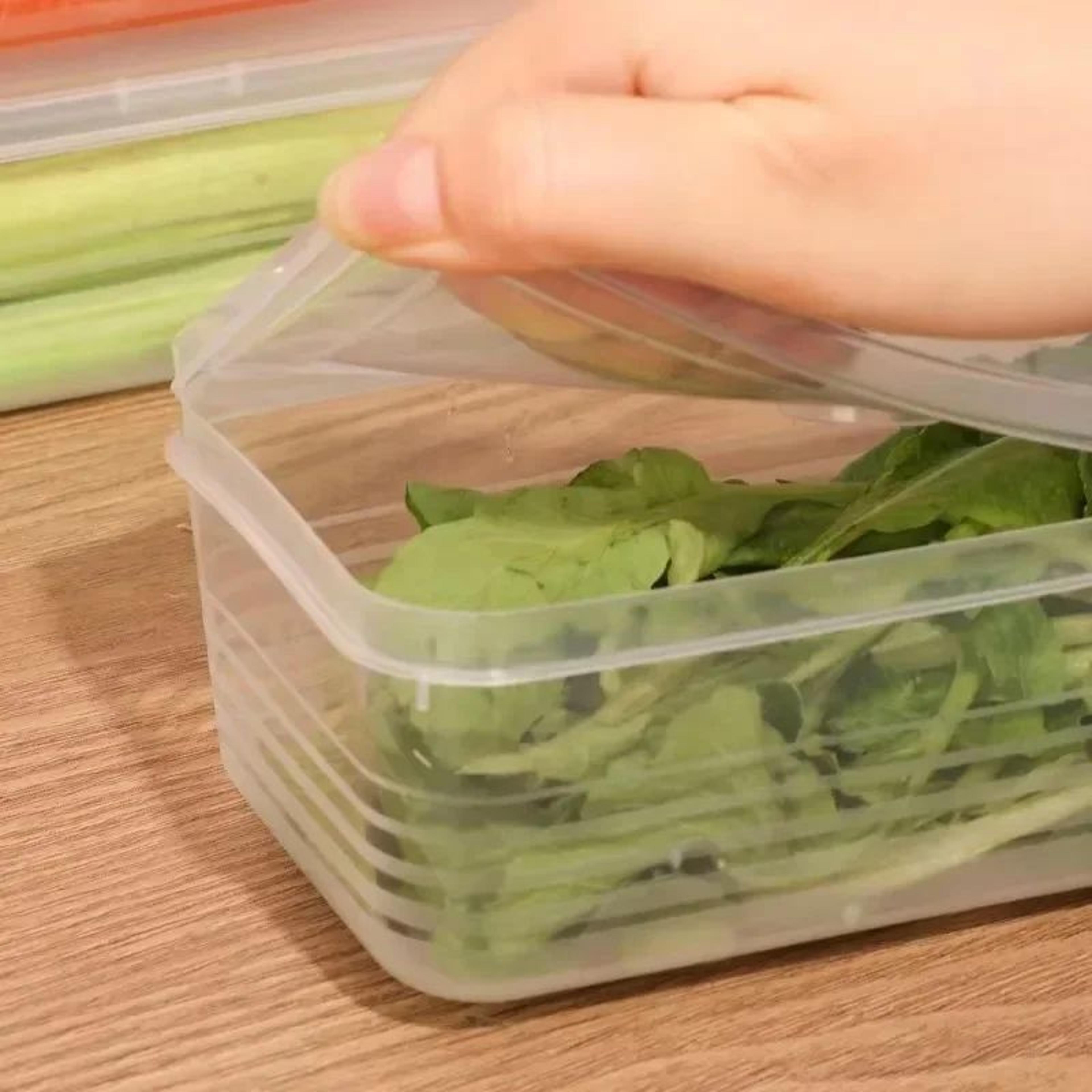 Airtight Refrigerator Storage Boxes With Lid  Scallion  Vegetable FreshKeeping Fridge Organizer 3