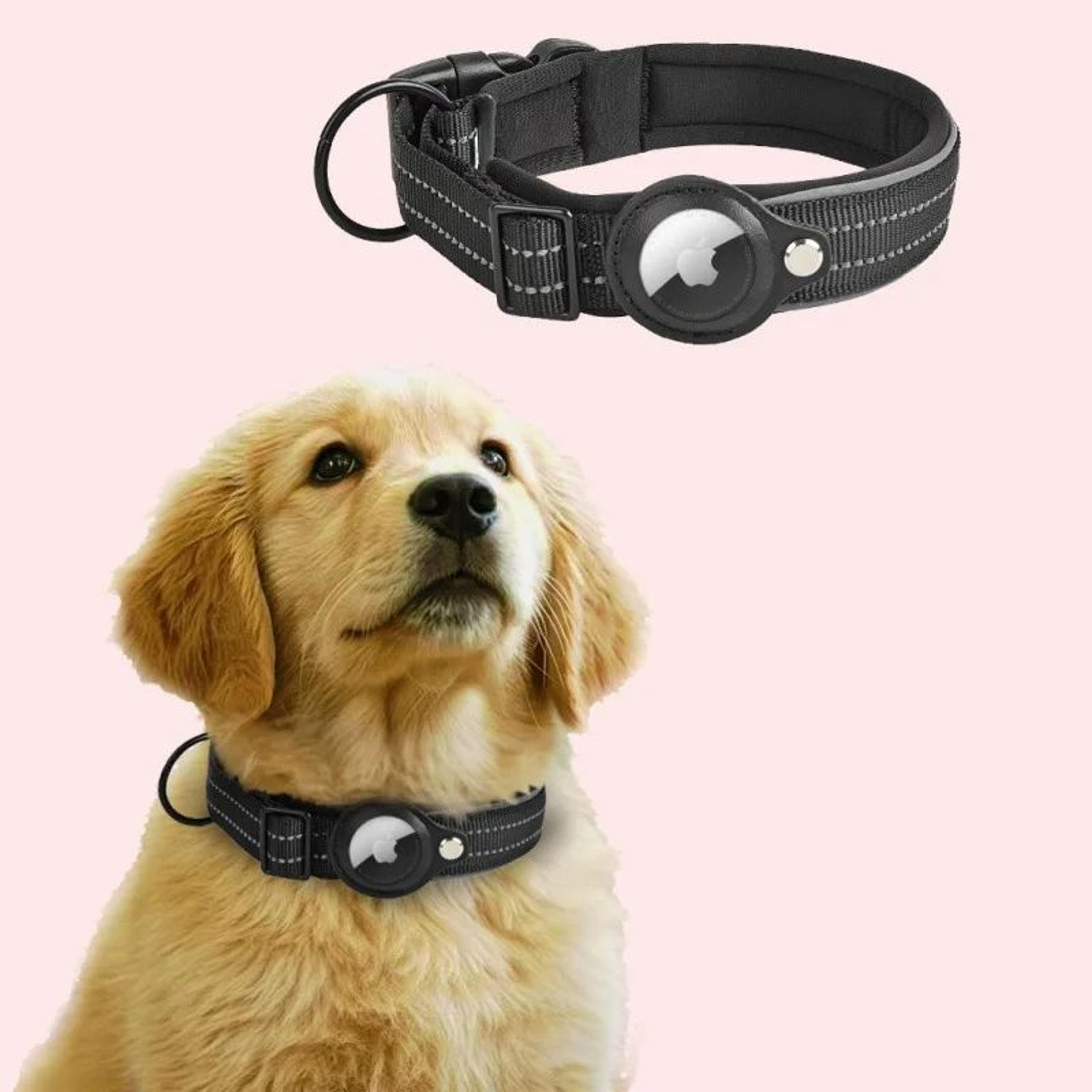AirTag Dog Collar With Holder  Reflective Adjustable Padded Pet Collar For Small Medium  Large Dogs 14