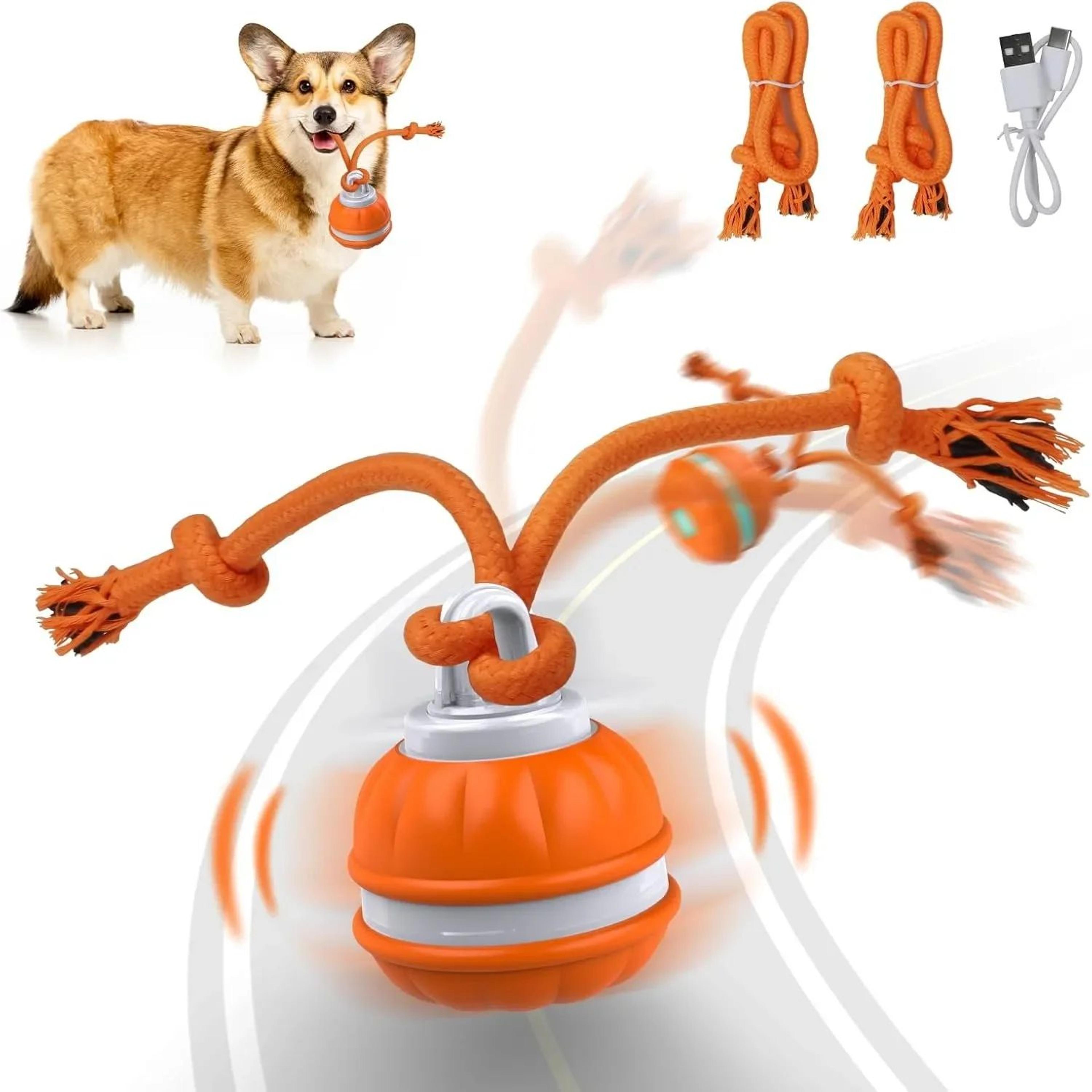 Interactive MotionActivated Dog Ball  Automatic Rolling USB Rechargeable Toy For Puppies  Small 0