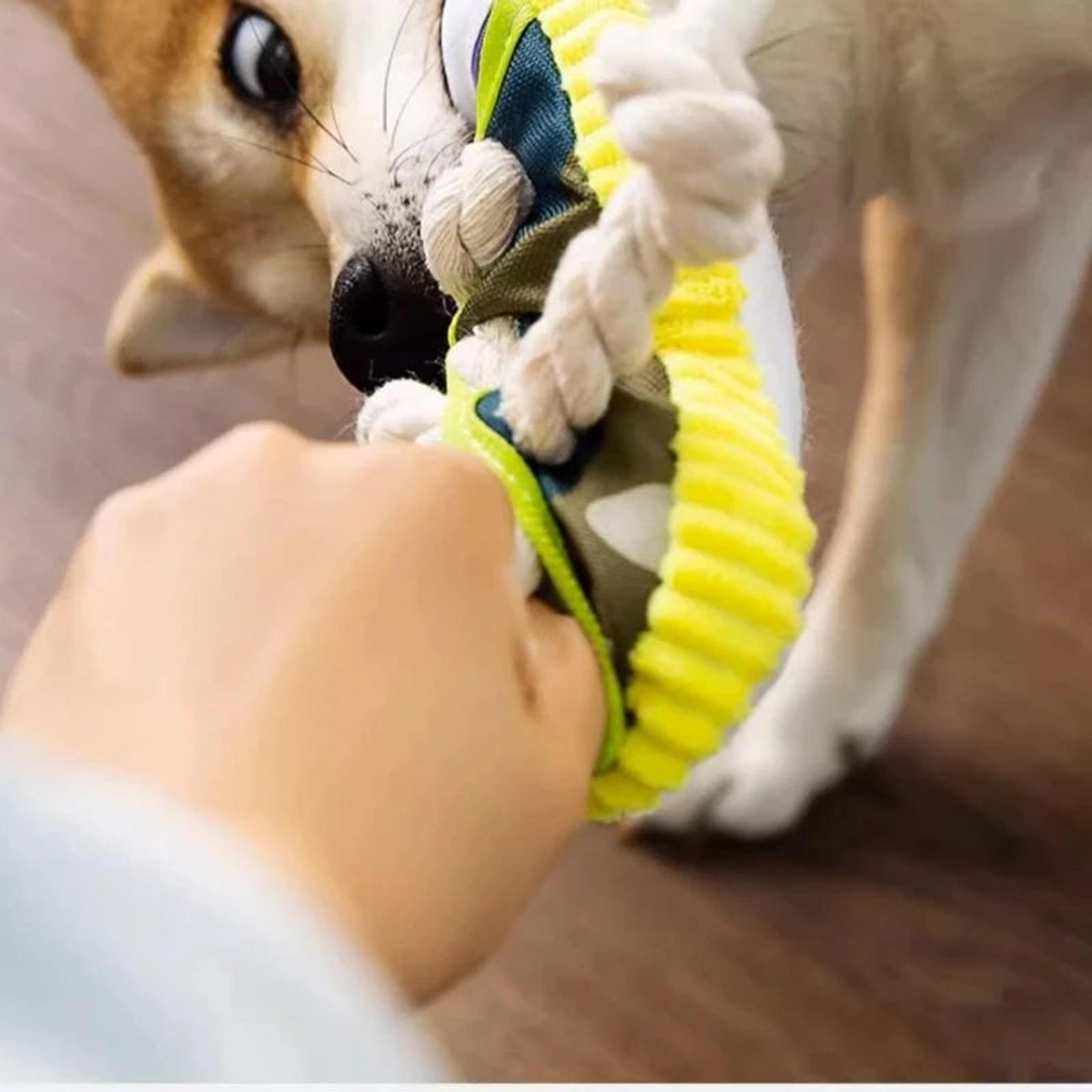 Interactive Dog Chew Slipper Toy  Cotton Rope Teeth Cleaning Squeaky Shoe With Bell  BB Airbag 3