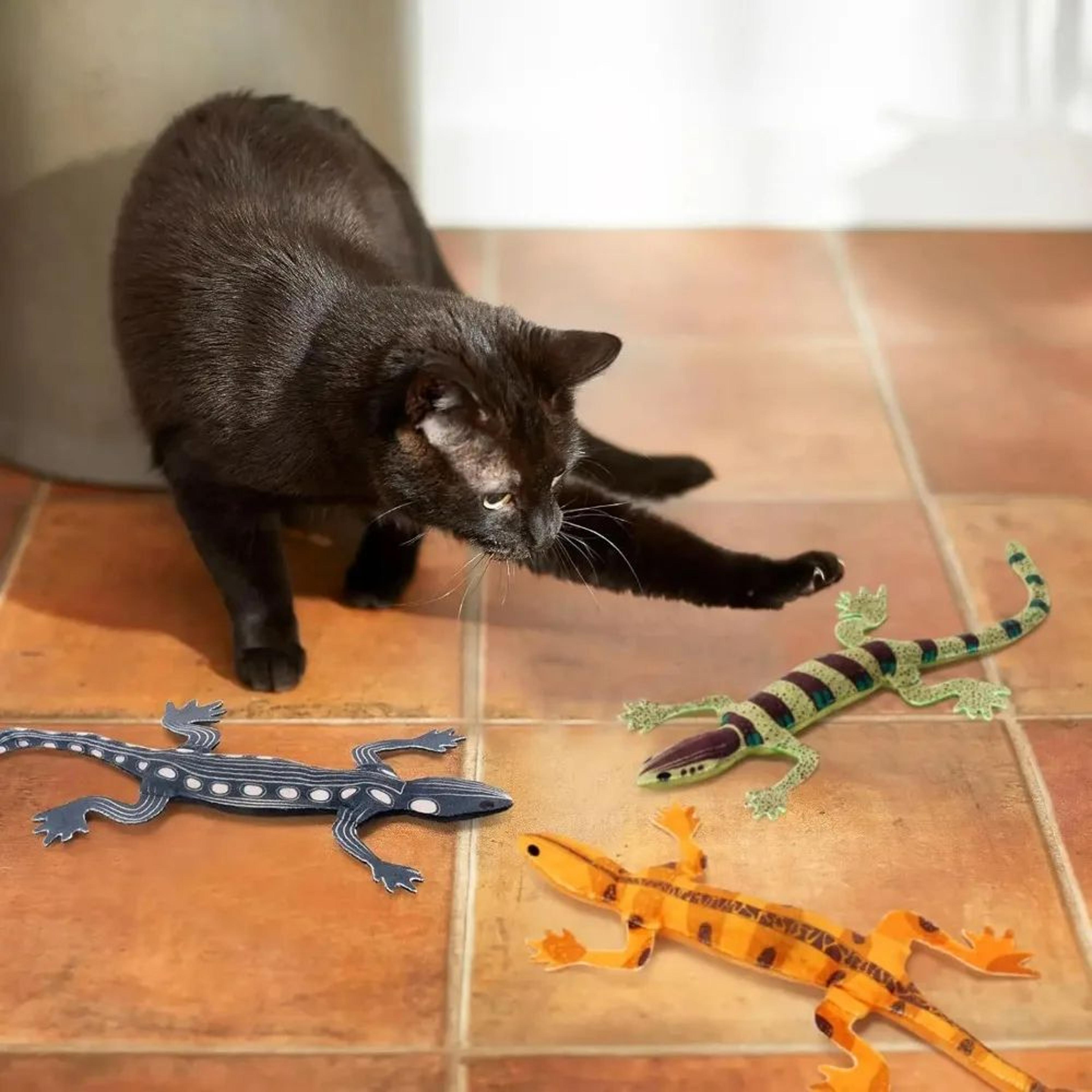 BiteResistant Catnip Lizard Chew Toy  Teeth Cleaning Interactive Indoor Cat Toy For Kittens  Cats H 3