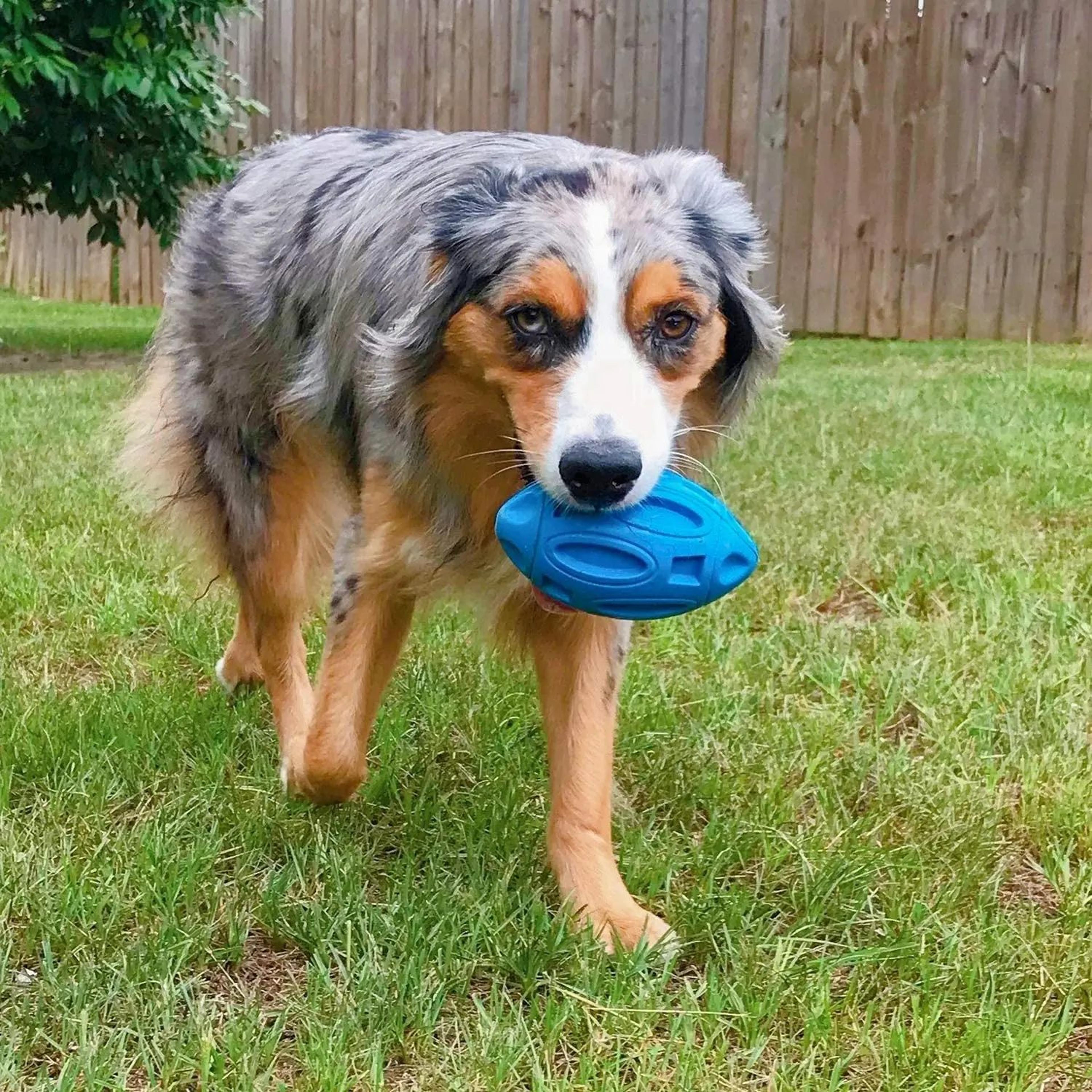 Durable Squeaky Rubber Chew Ball  Teeth Cleaning Toy For Aggressive Chewers Medium  Large Dogs 5
