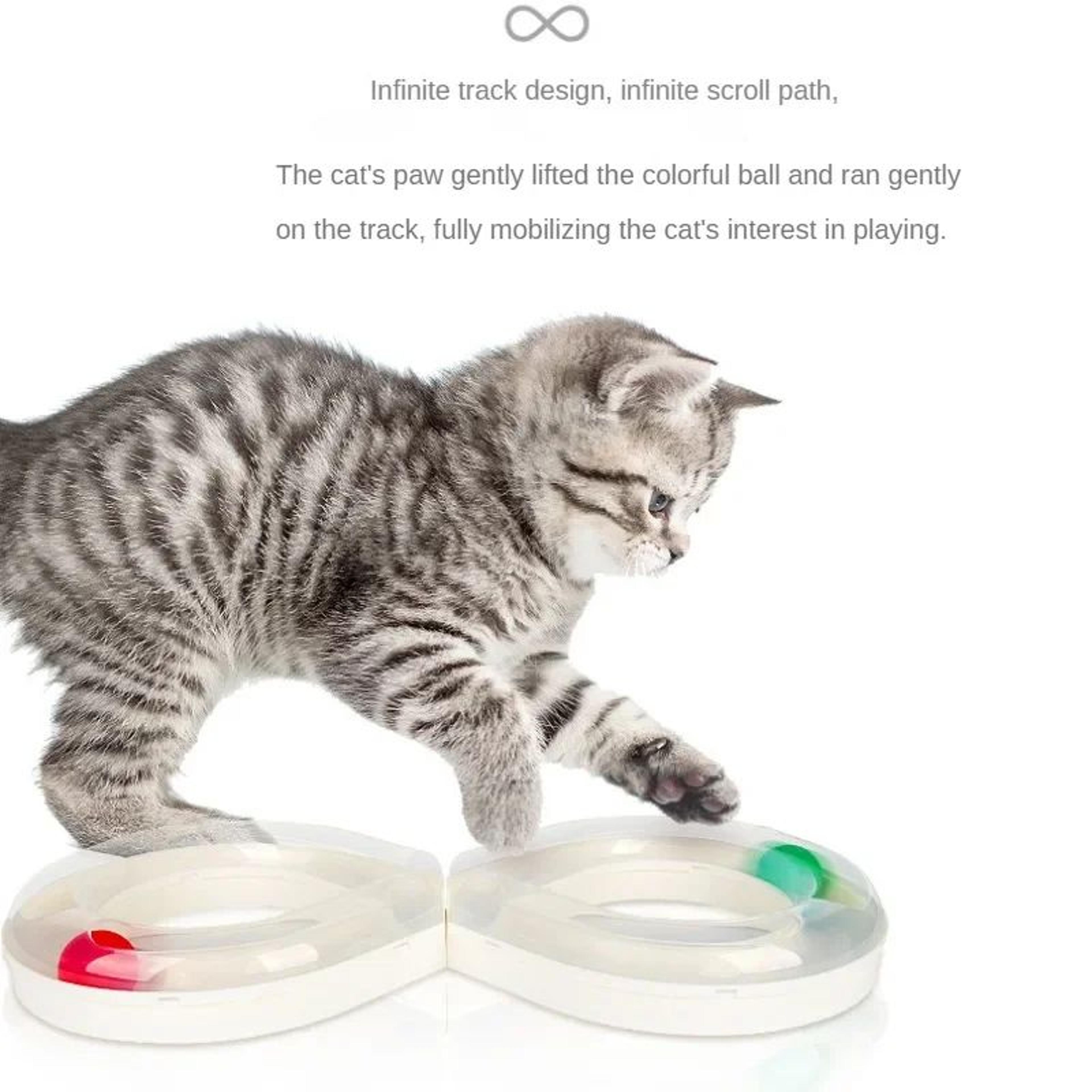 Interactive Cat Toy Turntable  Teasing Stick Tunnel Set 5