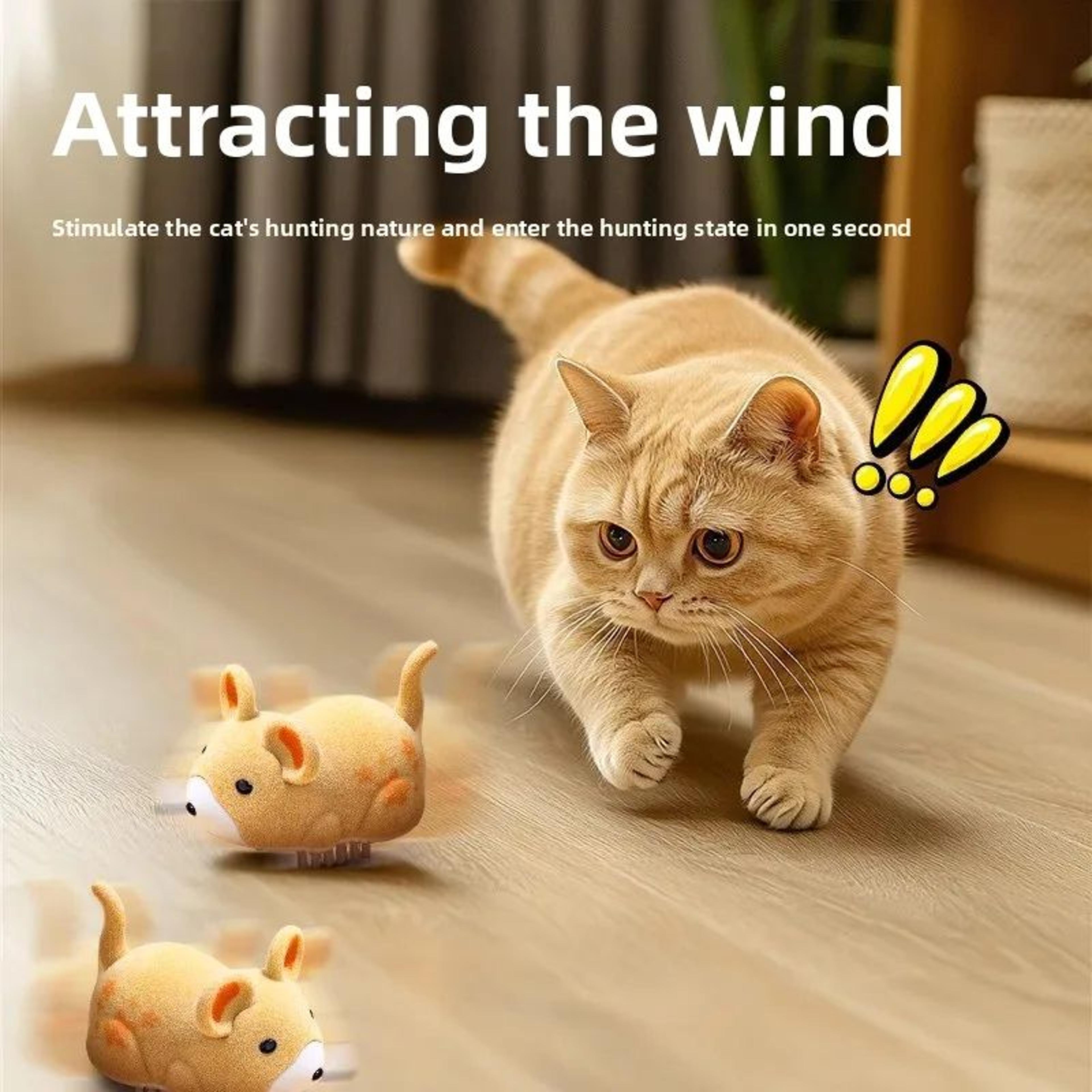 Interactive Electric Cat Toy Mouse  SelfMoving With Obstacle Avoidance 0