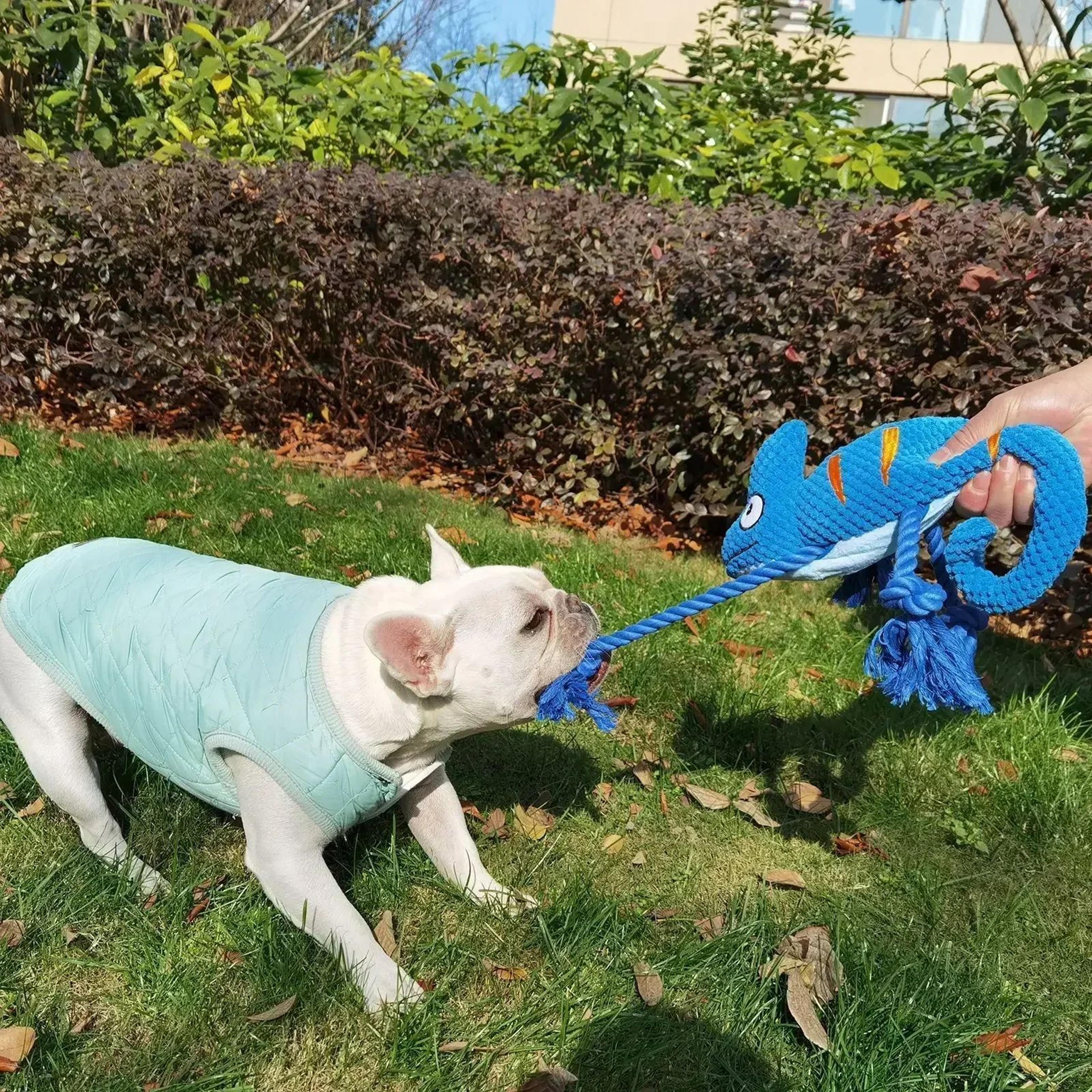 Chameleon Plush Squeaky Dog Toy  BiteResistant Chew  Squeaker Toy For Small To Large Dogs 2