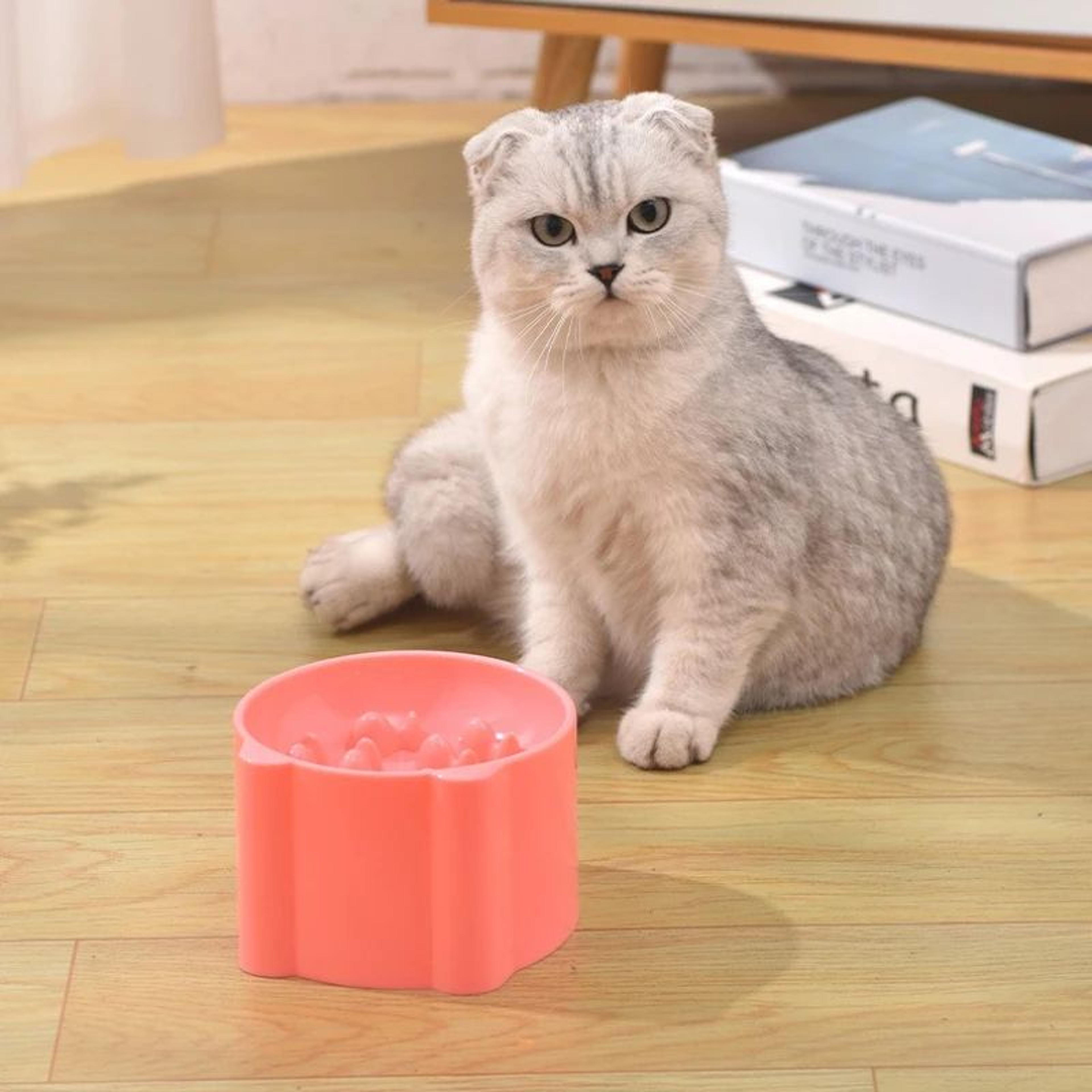 AntiChoking Slow Feeder Bowl For Cats  Small Dogs  NeckProtective Puzzle Feeding Dish For Healthy E 0