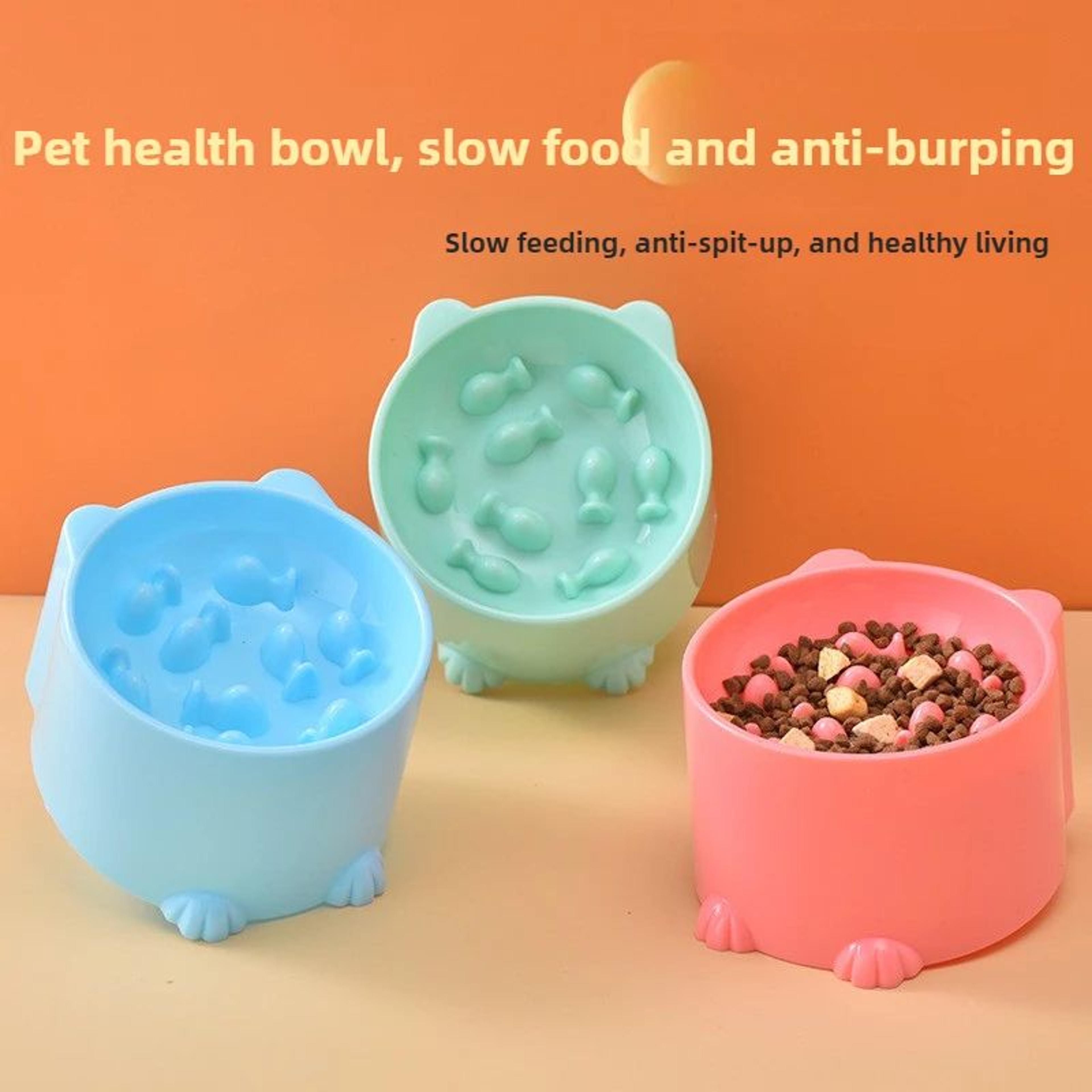 AntiChoking Slow Feeder Bowl For Cats  Small Dogs  NeckProtective Puzzle Feeding Dish For Healthy E 2