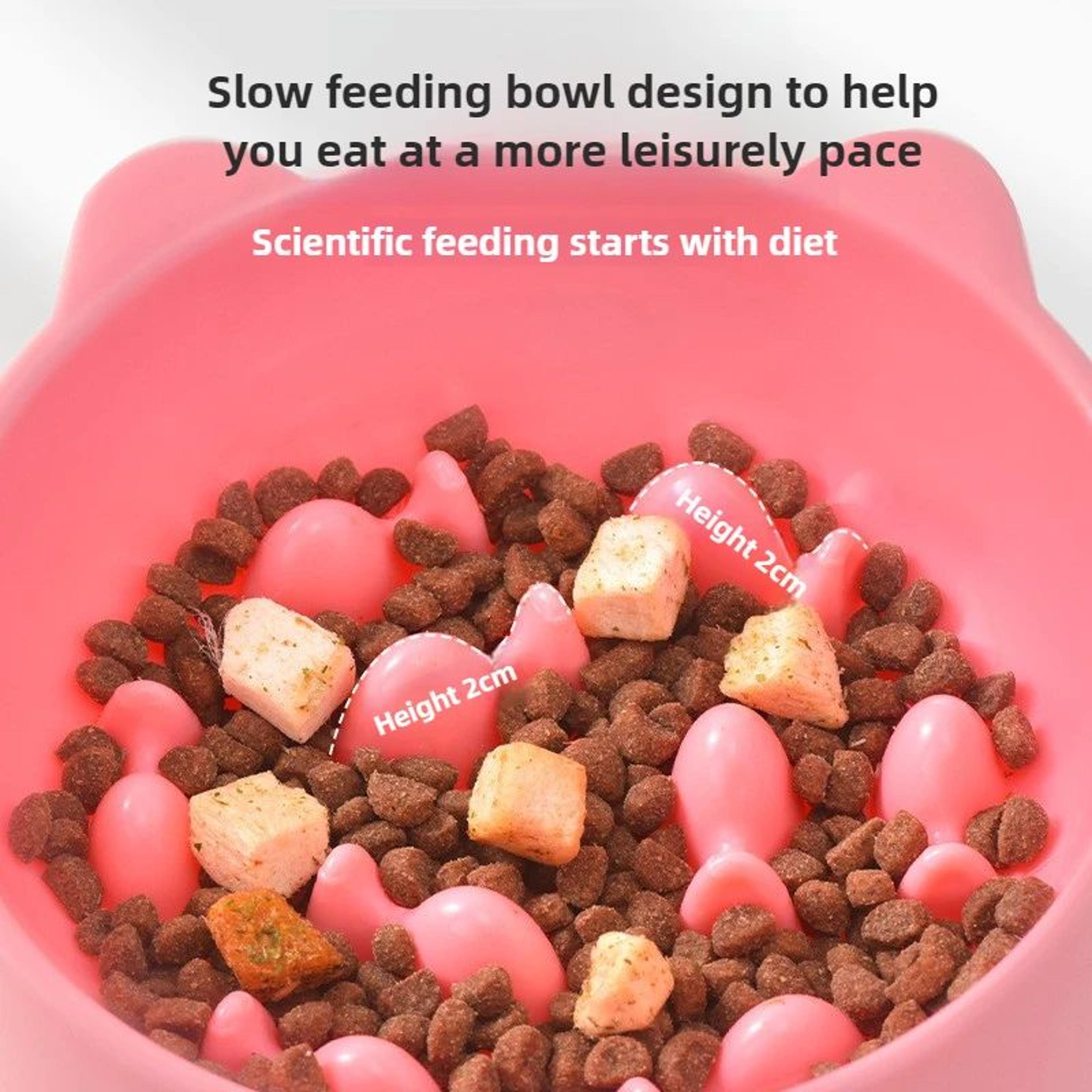 AntiChoking Slow Feeder Bowl For Cats  Small Dogs  NeckProtective Puzzle Feeding Dish For Healthy E 4
