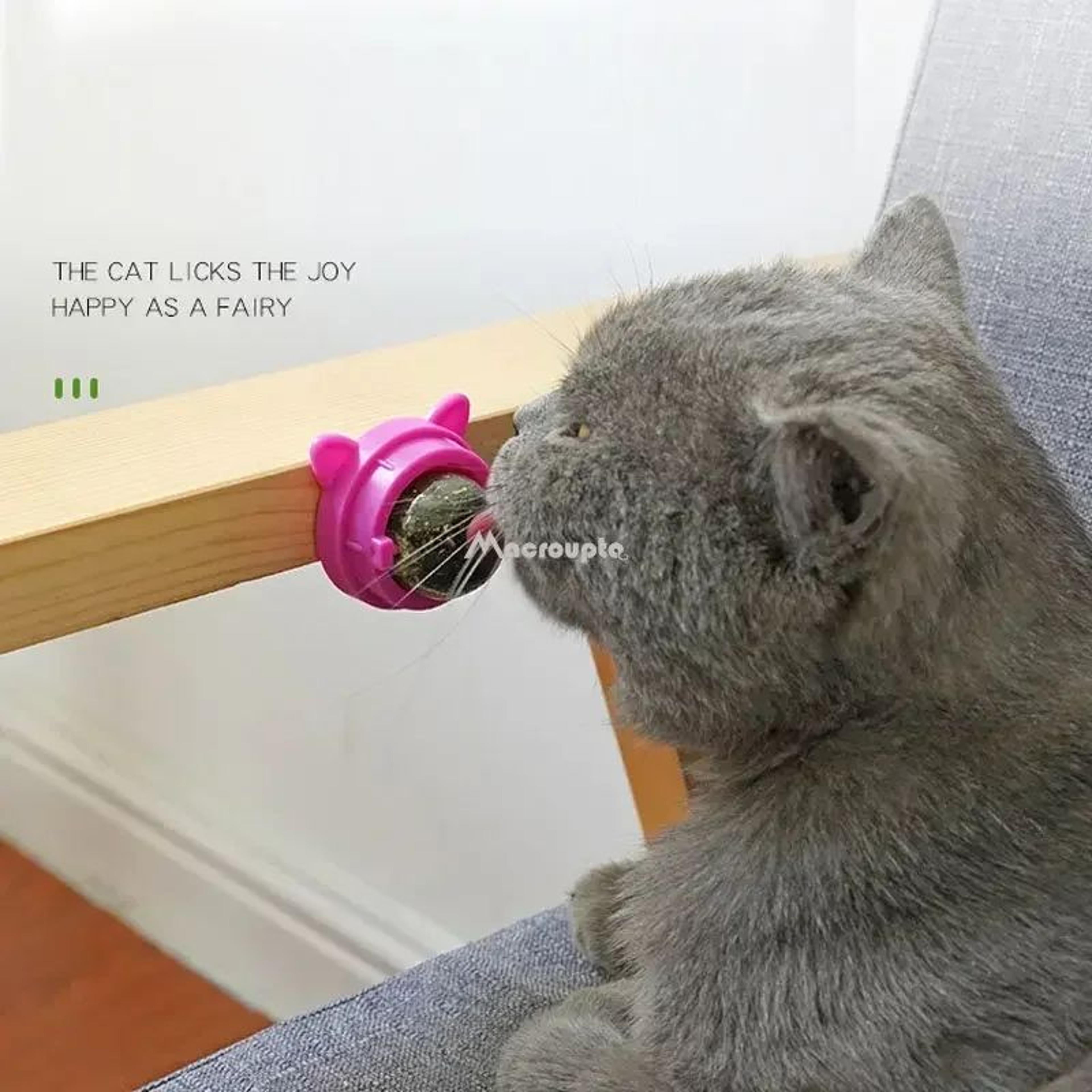 StickOn Catnip  Cat Grass Wall Ball Toy  Natural Lickable Treat Roller For Digestion  Boredom Relie 2