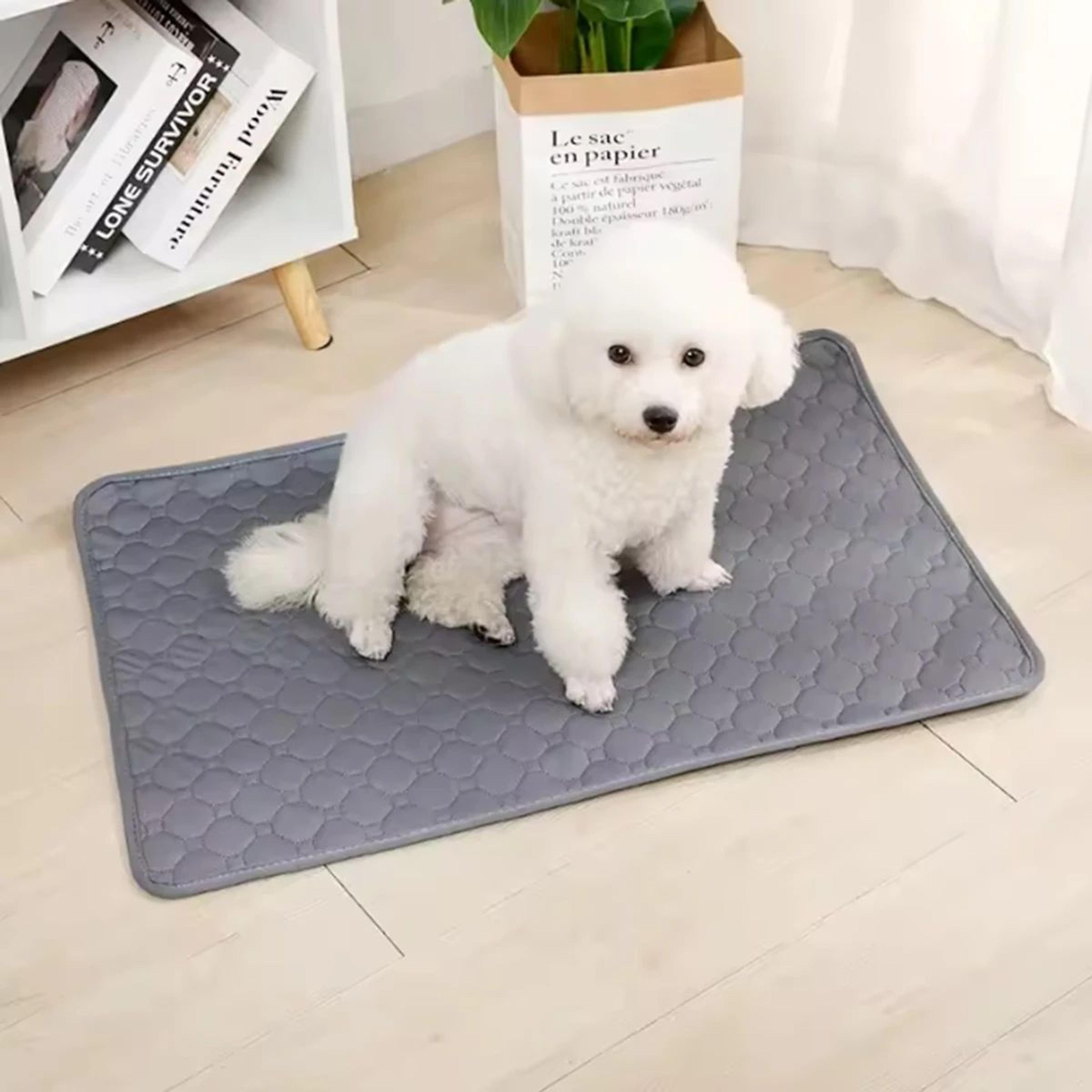 Reusable Washable Dog Pee Pad Waterproof Absorbent Urine Mat  Puppy Training Pad For Car Seat Sofa  5