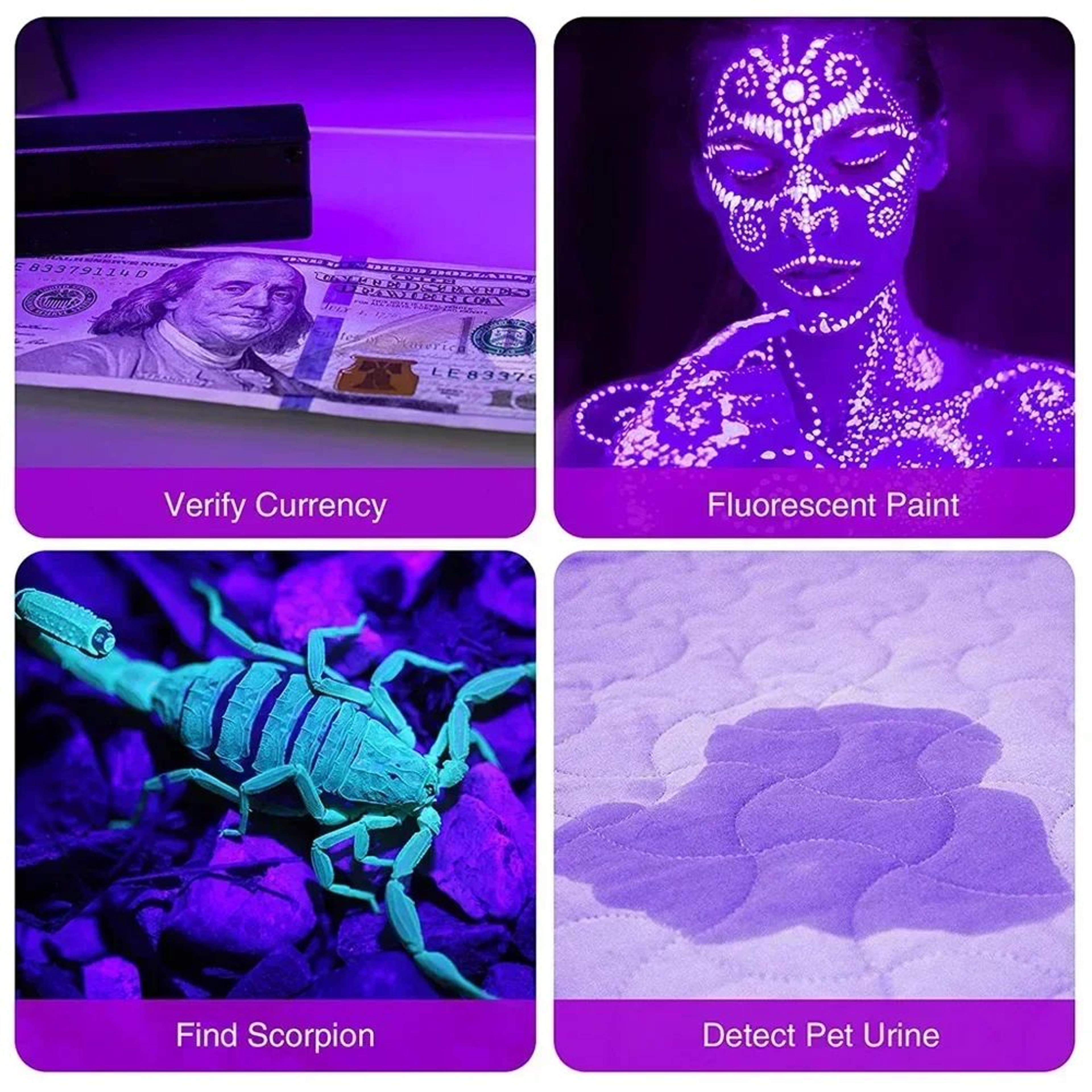 395nm UV Flashlight Black Light Torch 912 LED  Pet Urine Stain  Bed Bug Detector For Carpet Rooms   2