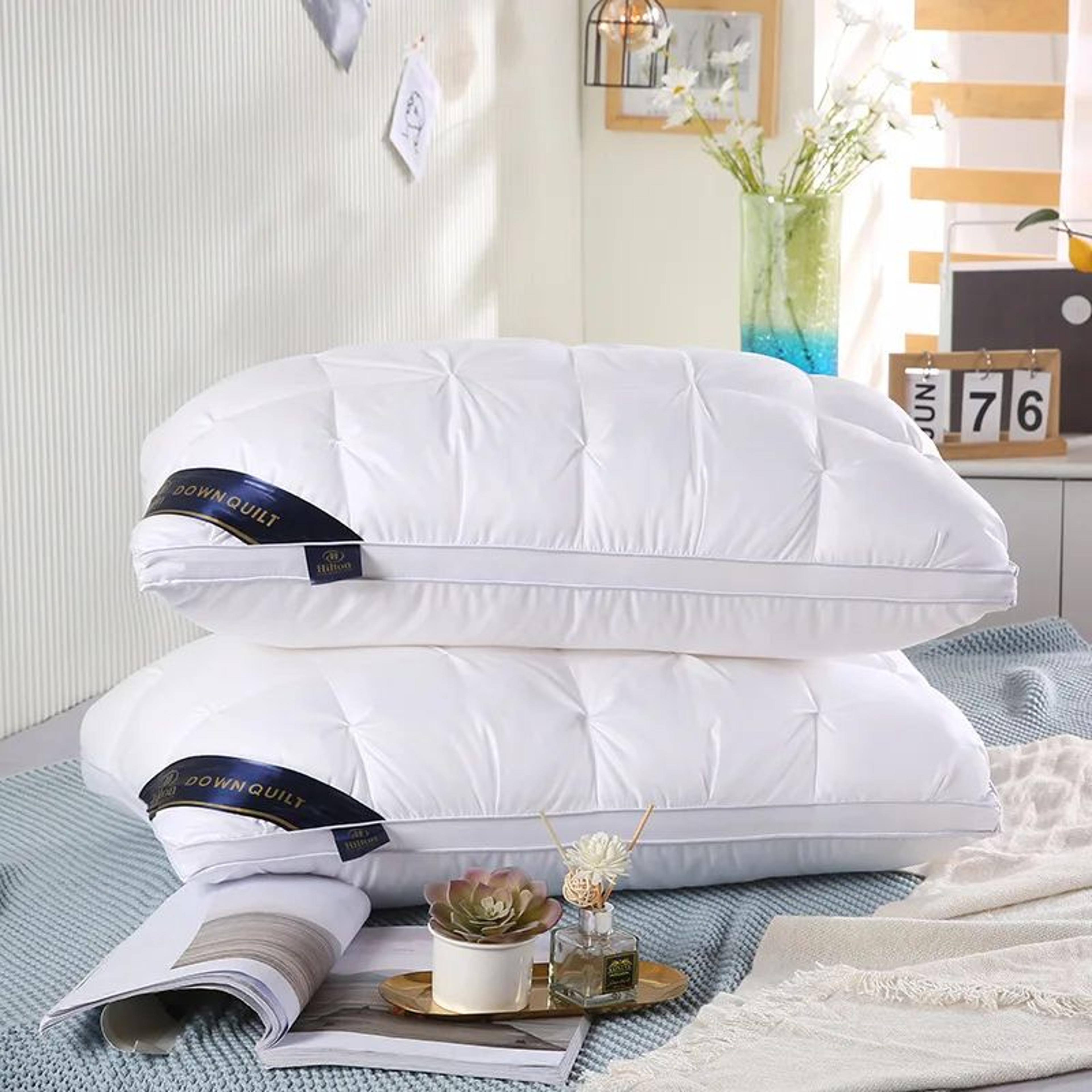2Pack Luxury Hotel Pillows  Soft Support Bed Pillows For Back Side  Stomach Sleepers Fluffy Comfort 2