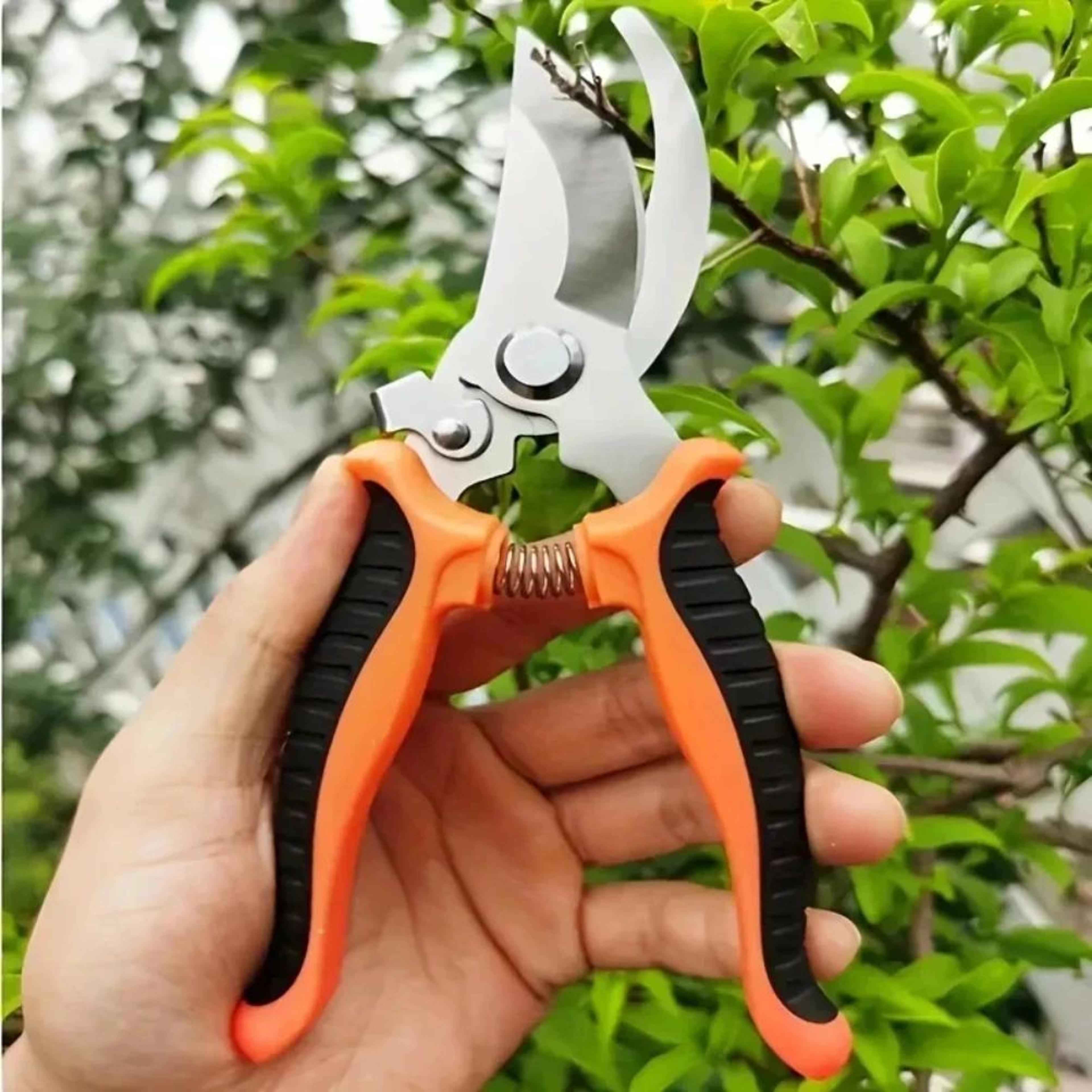 Stainless Steel Professional Pruning Shears  Sharp Garden Secateurs For Branches Fruit Trees Flower 0