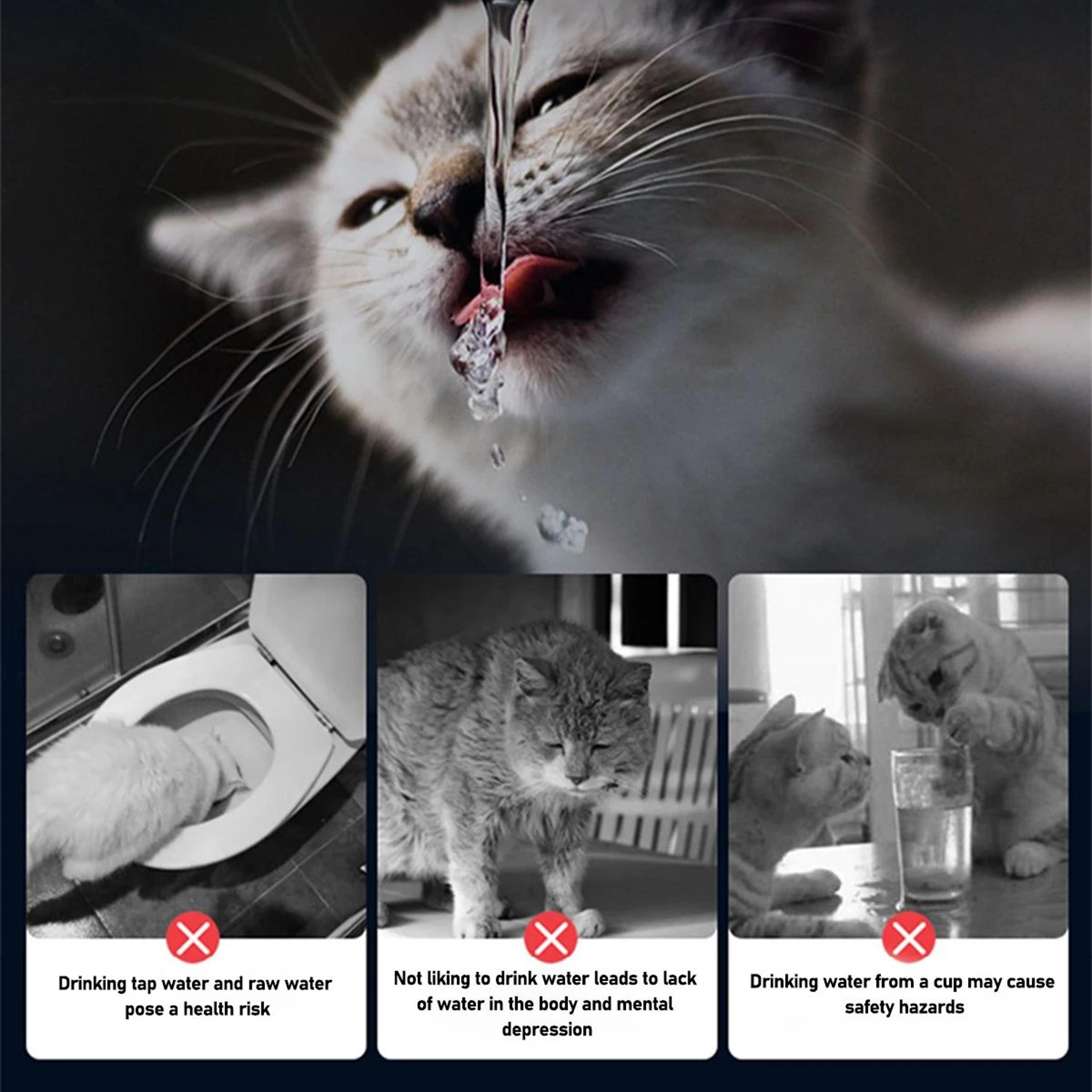 Stainless Steel Cat Water Fountain  Automatic Pet Water Dispenser For Cats  Dogs Quiet Flow Bowl 1