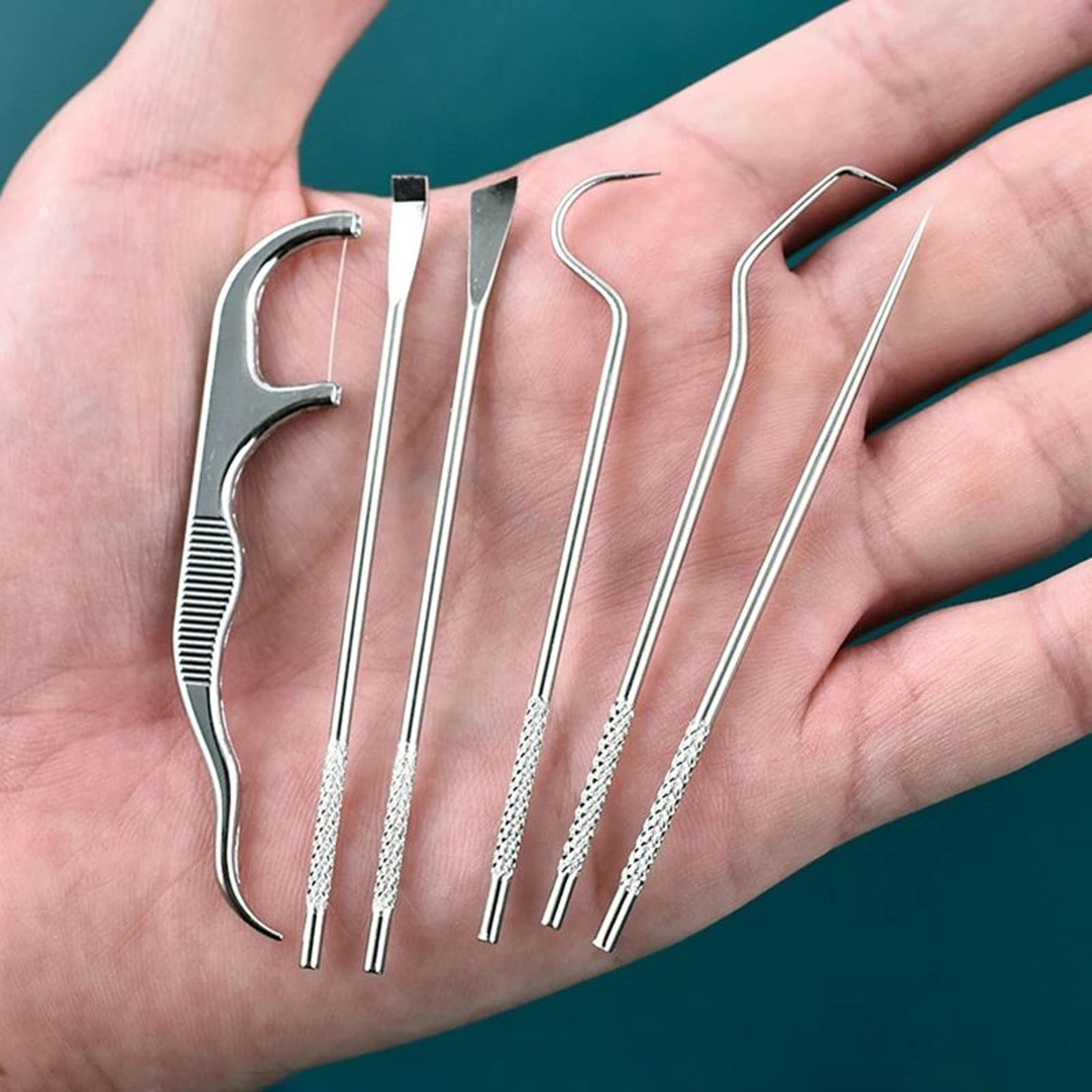 Stainless Steel Toothpick Set With Portable Holder Reusable Dental Cleaning Tools Travel Case Anti  2