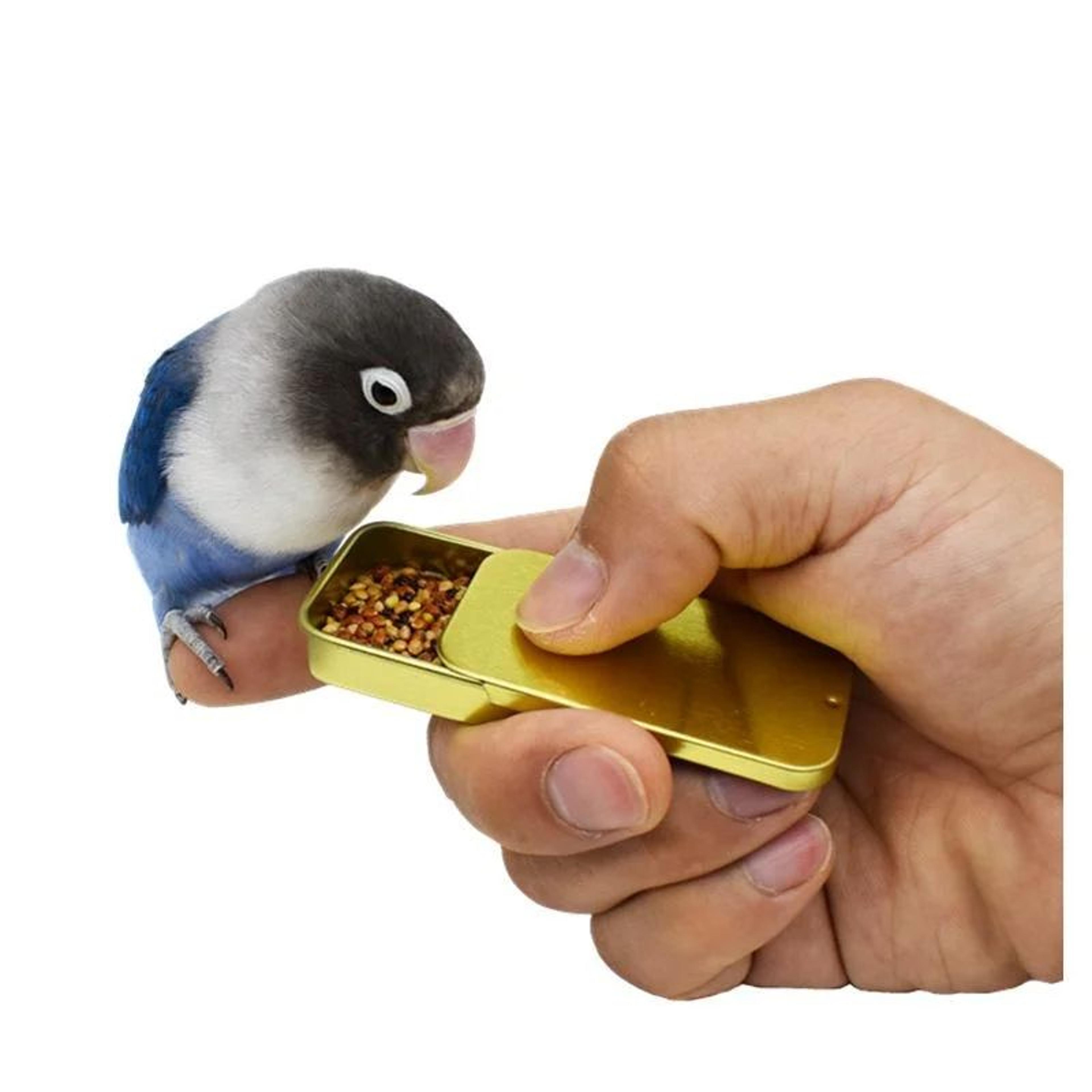 Handheld Parrot Training Feeder Jar  Metal Bird Food Training Cup With Hinged Lid 1
