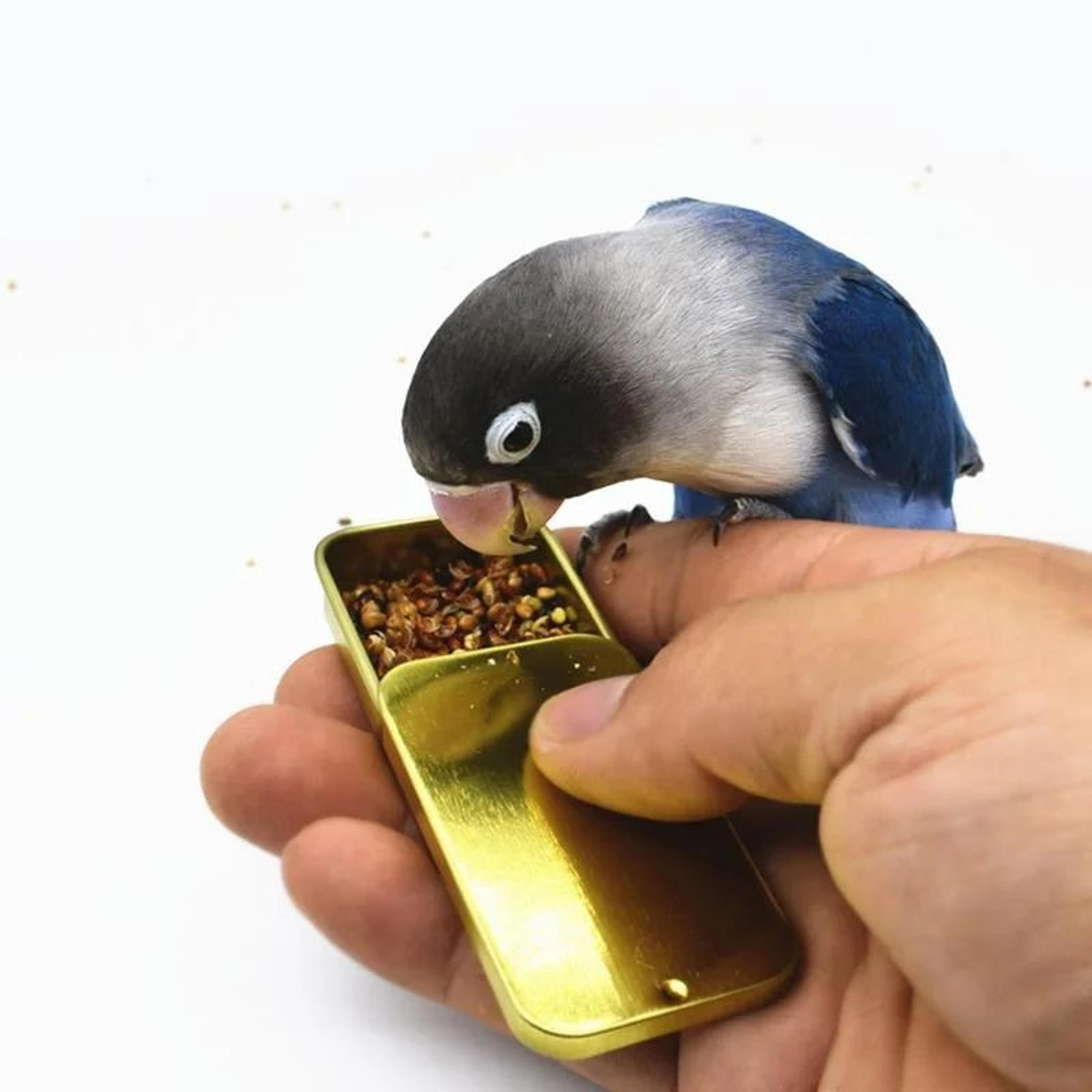 Handheld Parrot Training Feeder Jar  Metal Bird Food Training Cup With Hinged Lid 5