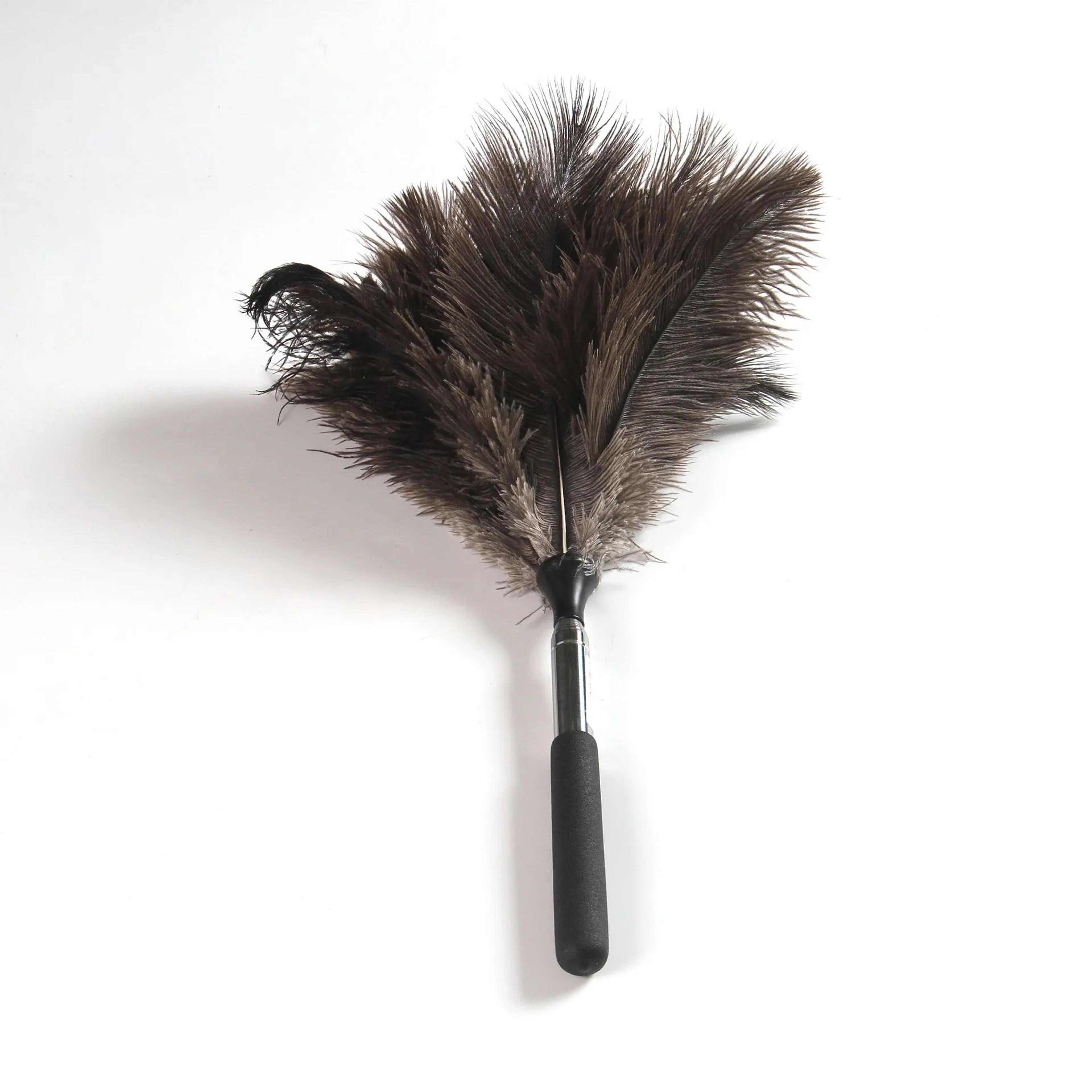 ExtendaClean Ostrich Feather Duster  Telescopic AntiStatic Long Handle Dust Cleaner For High Ceilin 6