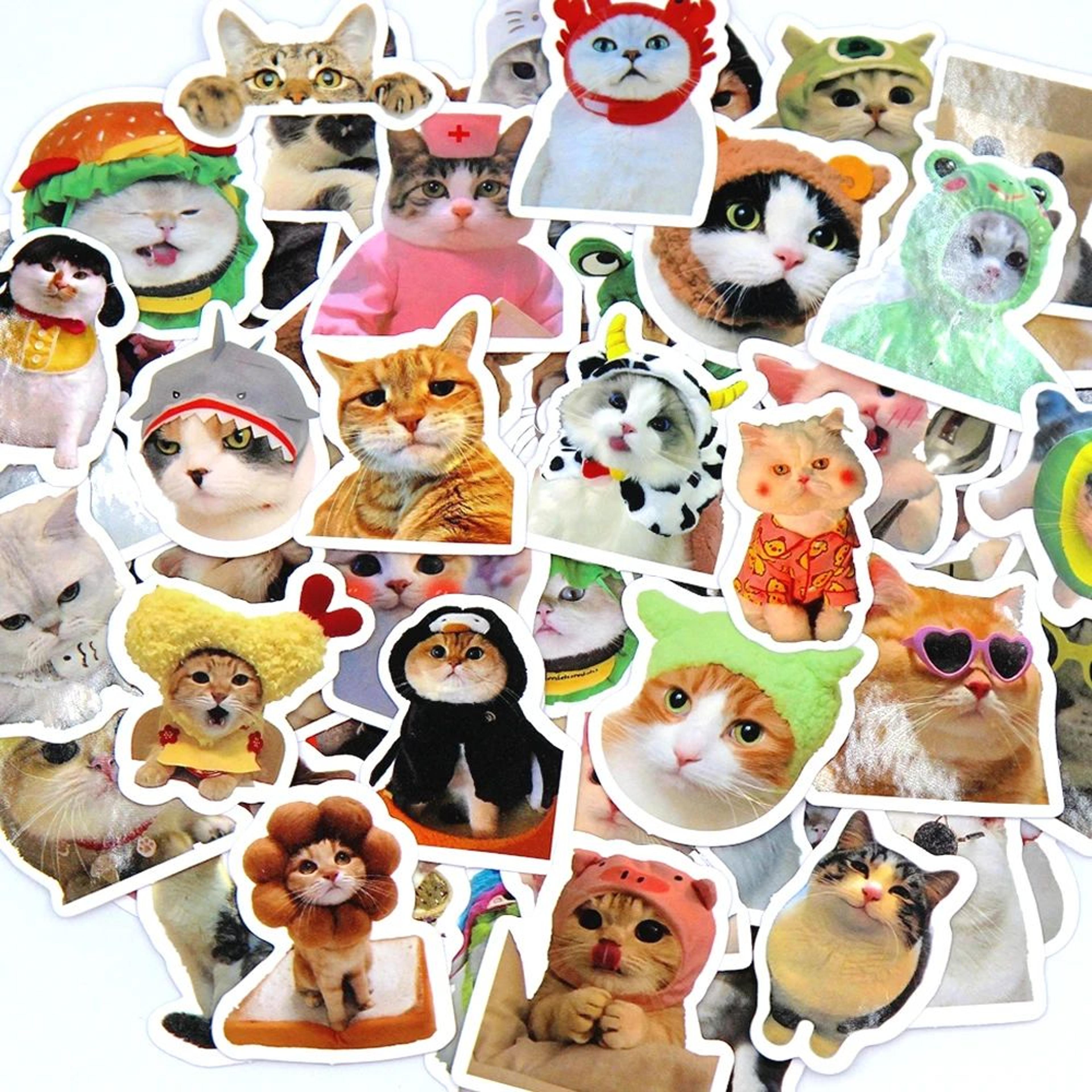 MeowMix Cute Cat Sticker Pack  Waterproof Cartoon Vinyl Decals 23 In For Laptop Phone  DIY Decor 6