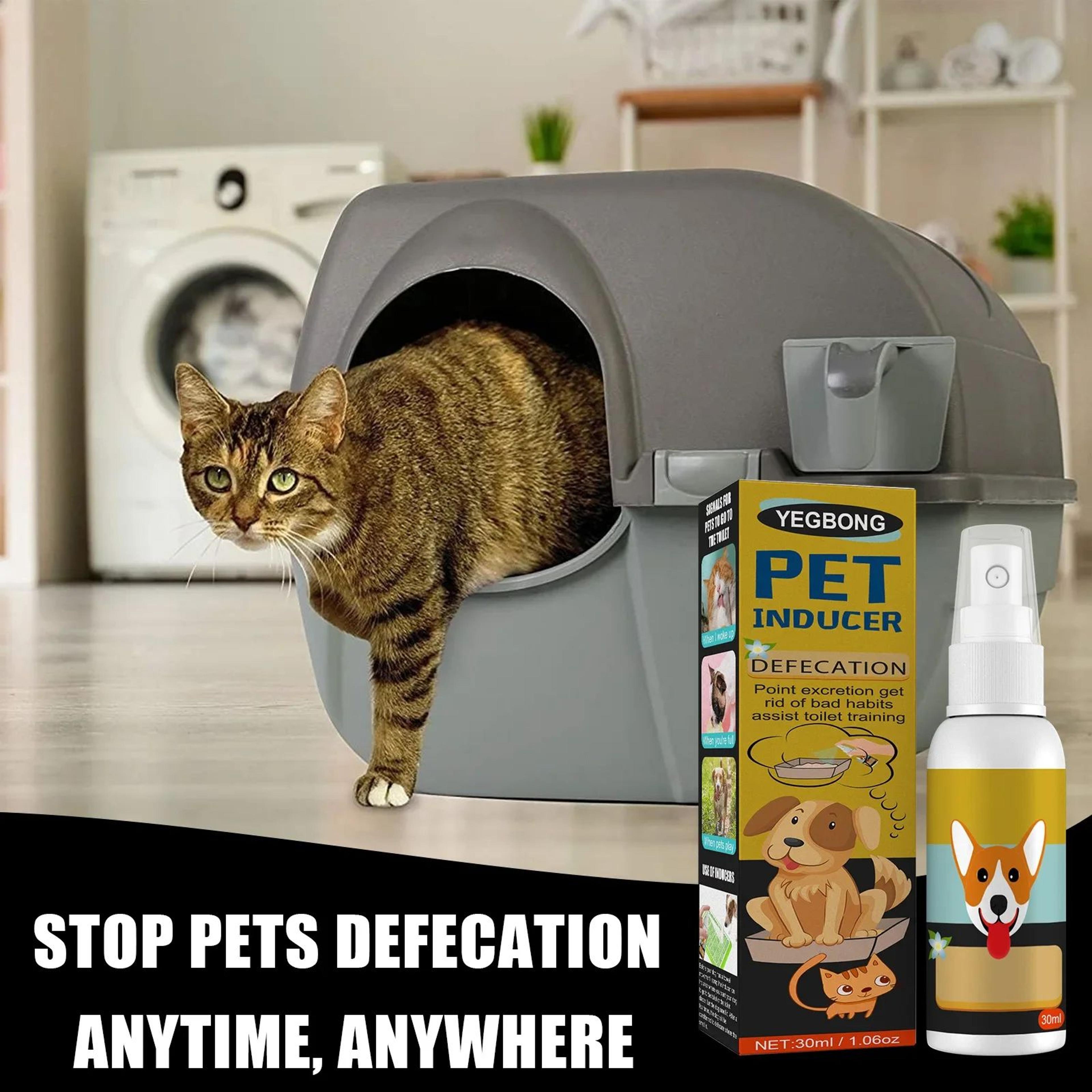 Pet Potty Training Spray  Dog  Cat Toilet Training Attractant With Natural Scent 101 Fl Oz 1