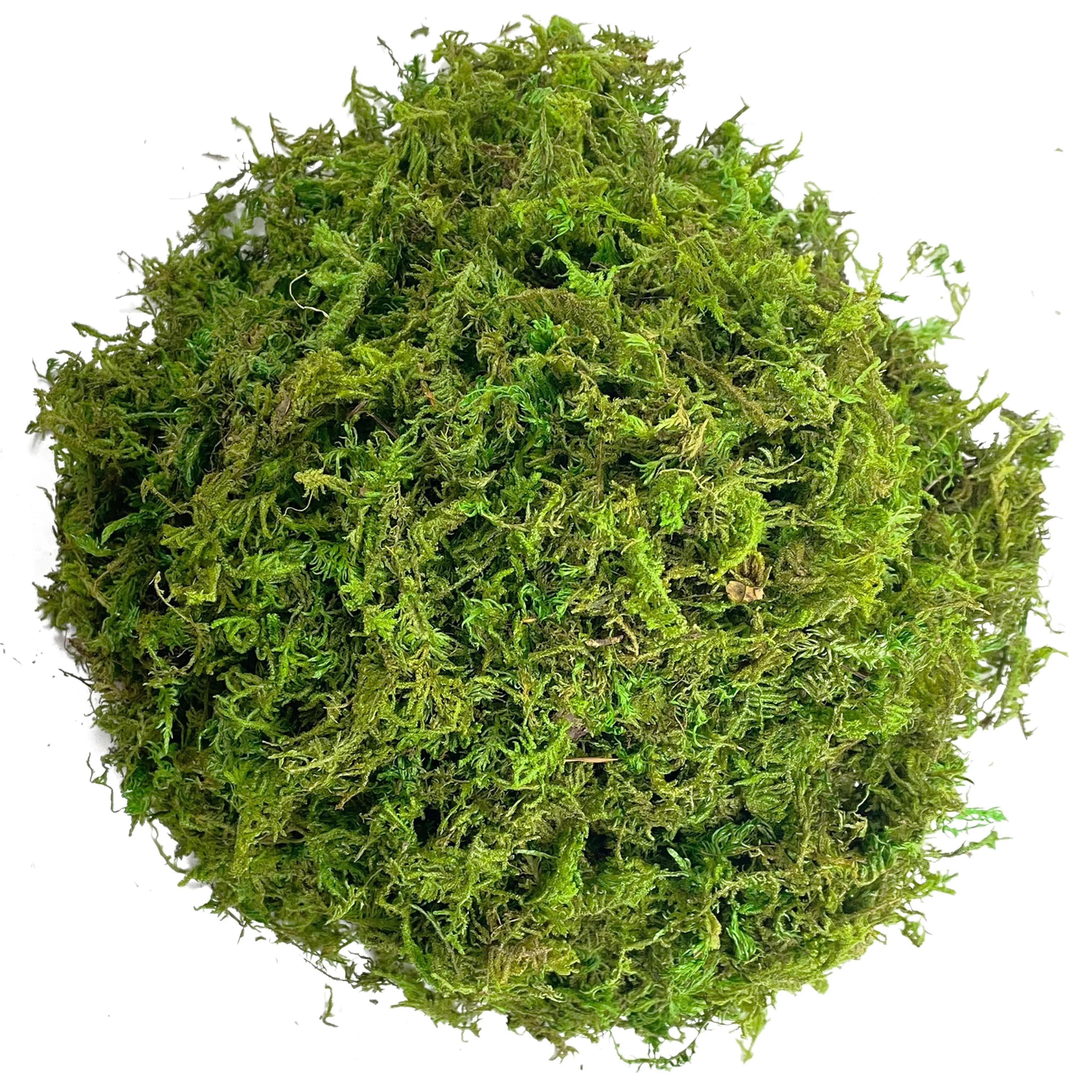Artificial Green Moss For Plants  Faux Peat Moss Potting Mix  Craft Decor 6