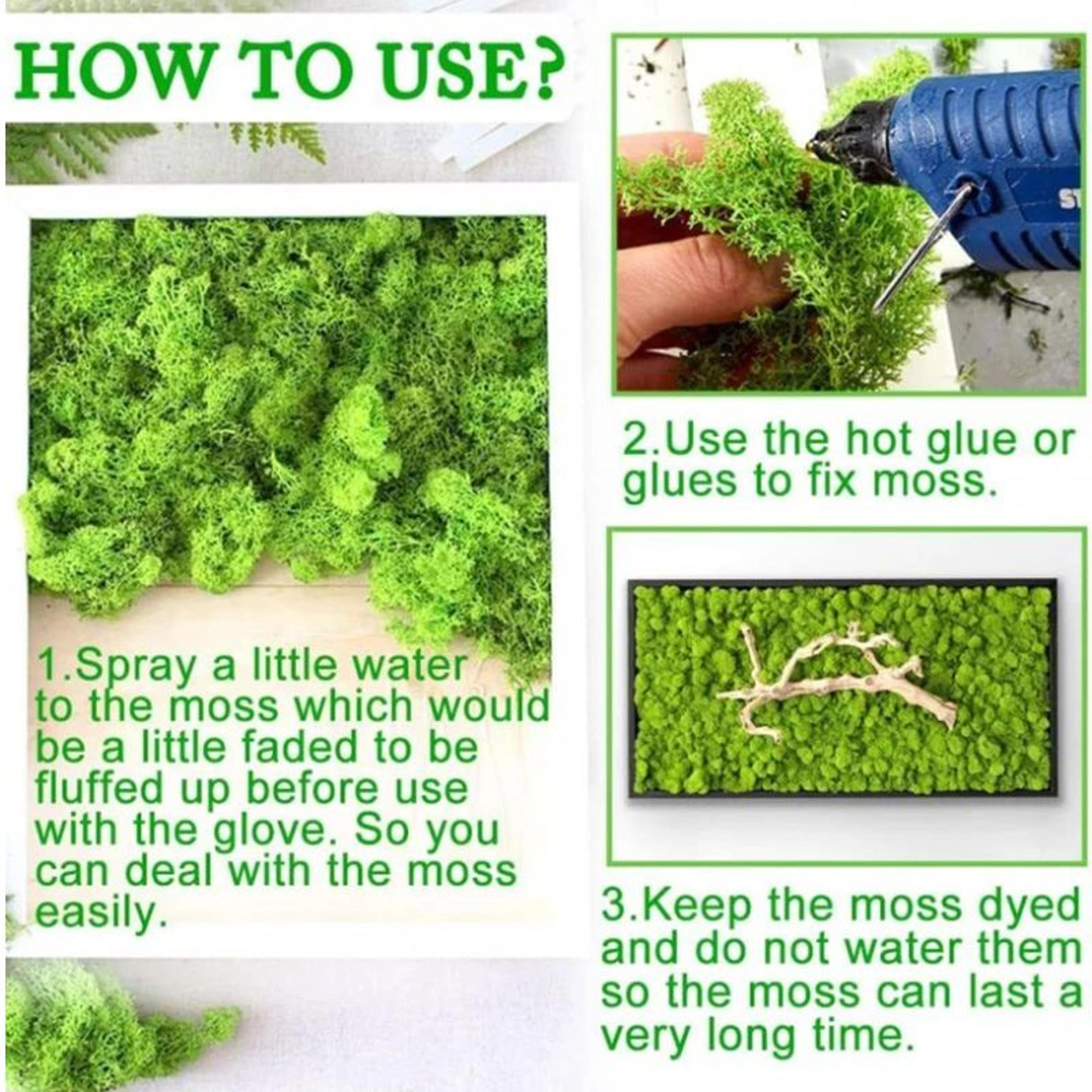 Premium Preserved Moss Decor  Realistic Artificial Green Moss For DIY Crafts Terrariums  Home Styli 3