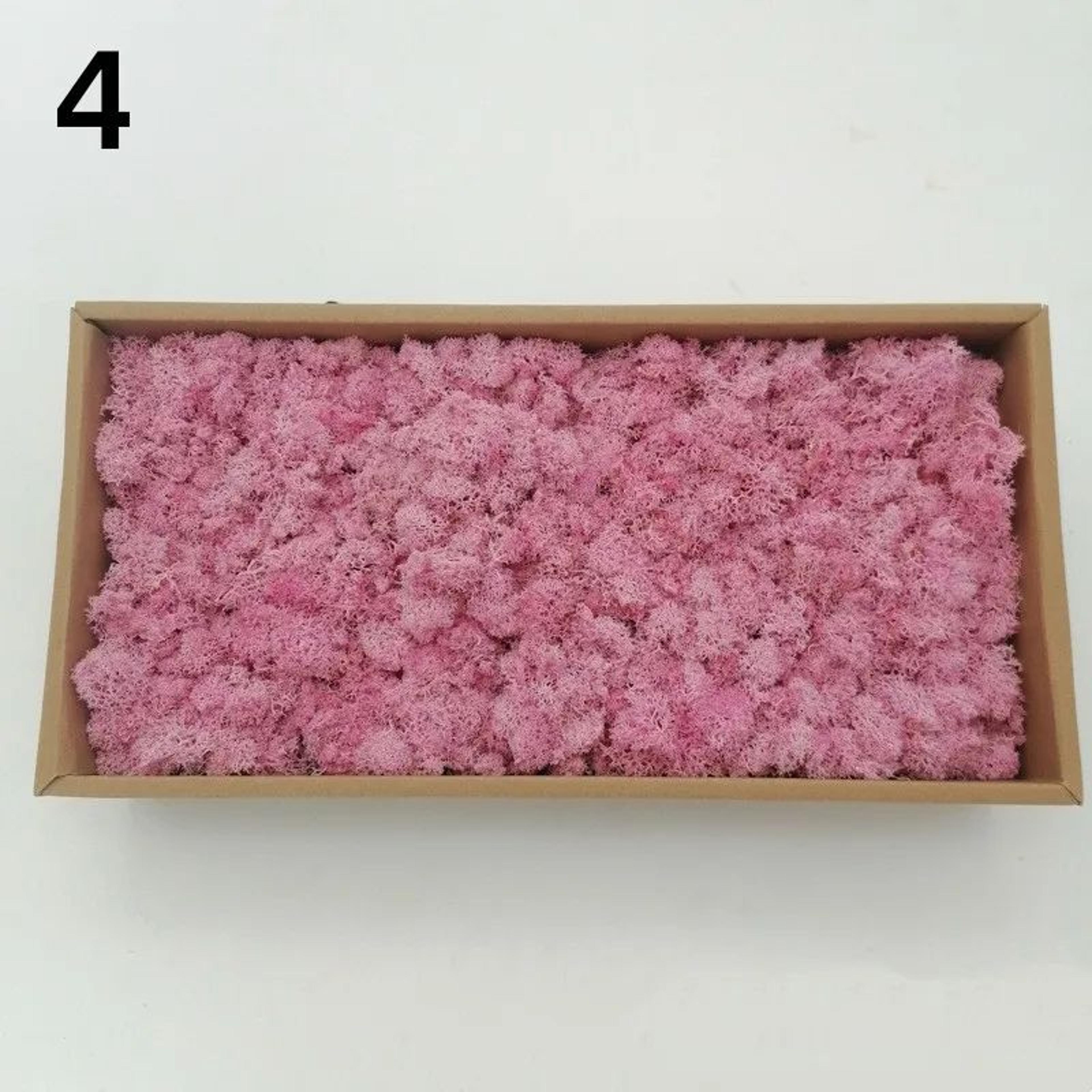 Premium Preserved Moss Decor  Realistic Artificial Green Moss For DIY Crafts Terrariums  Home Styli 15