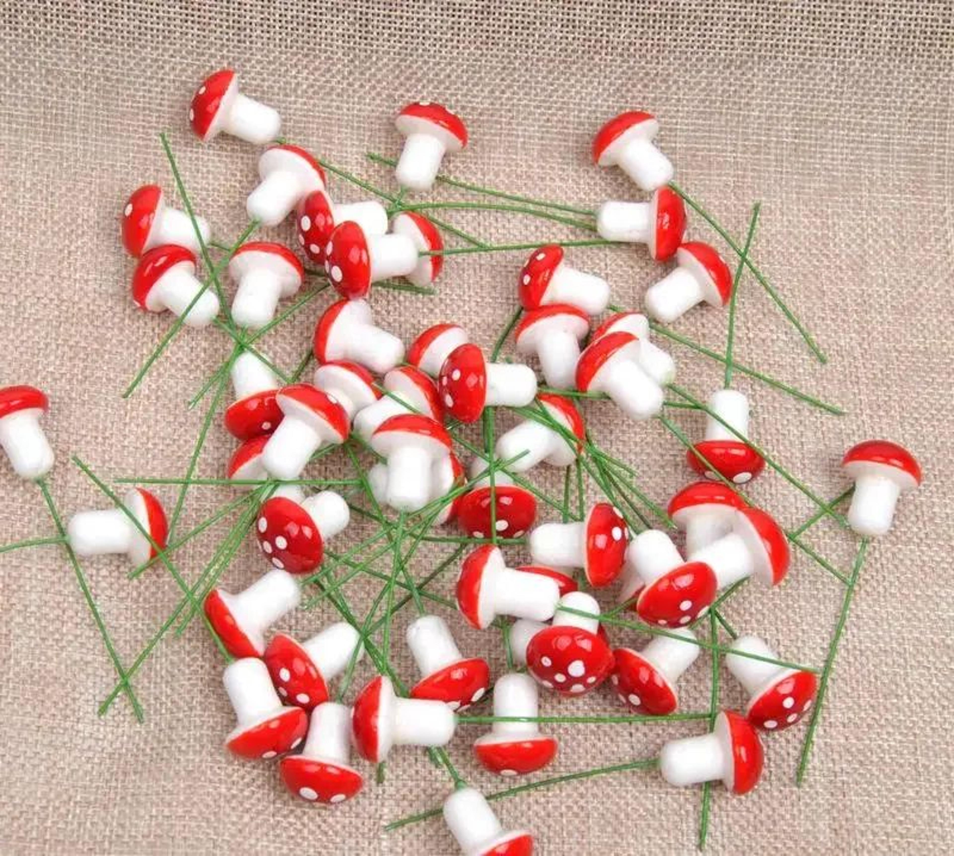 Mini Red Mushroom Fairy Garden Decor  Foam Miniature Mushrooms For DIY Terrarium  Bonsai Crafts 6