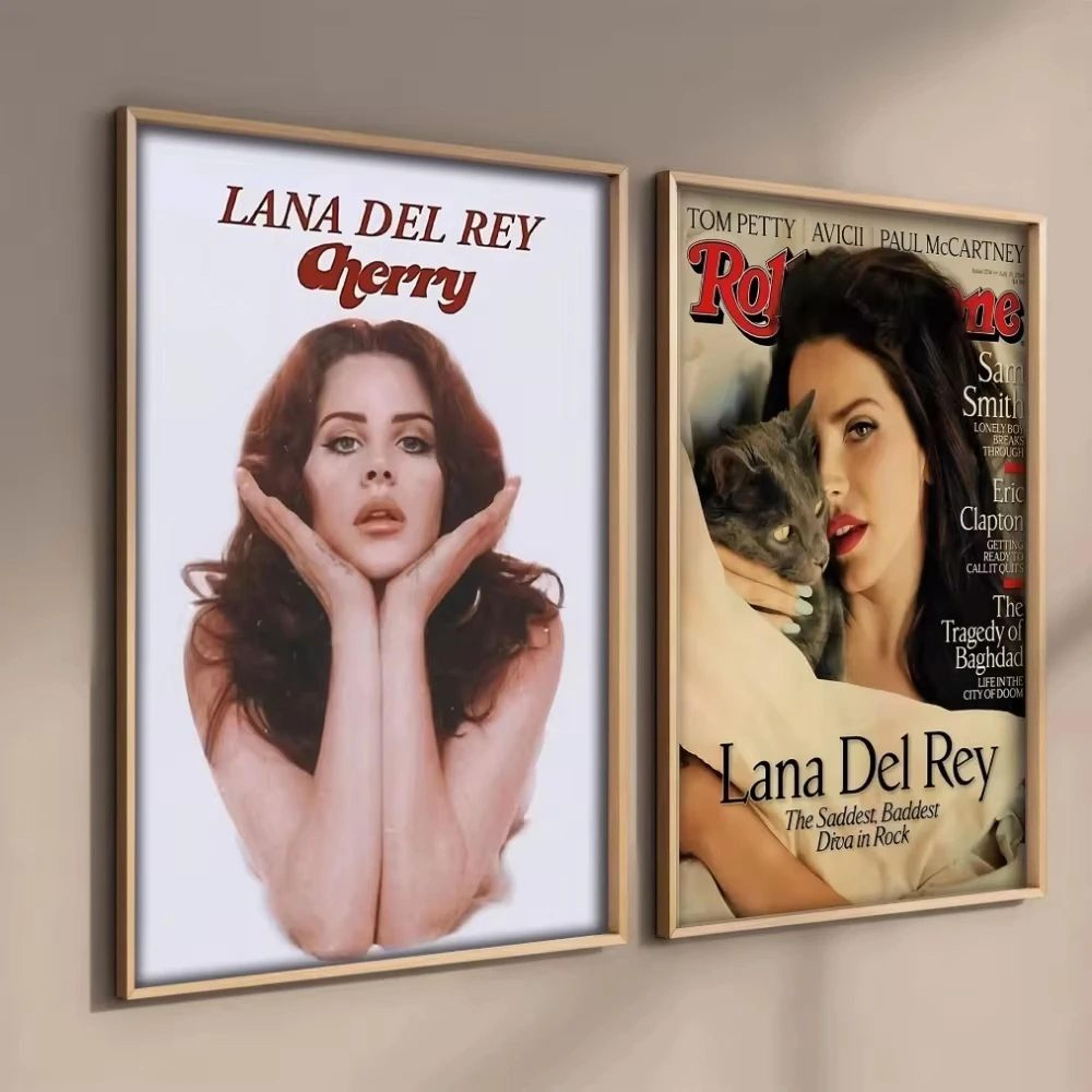 Lana Del Rey Aesthetic Canvas Wall Art  Vintage Music Album Poster For Room Decor 1