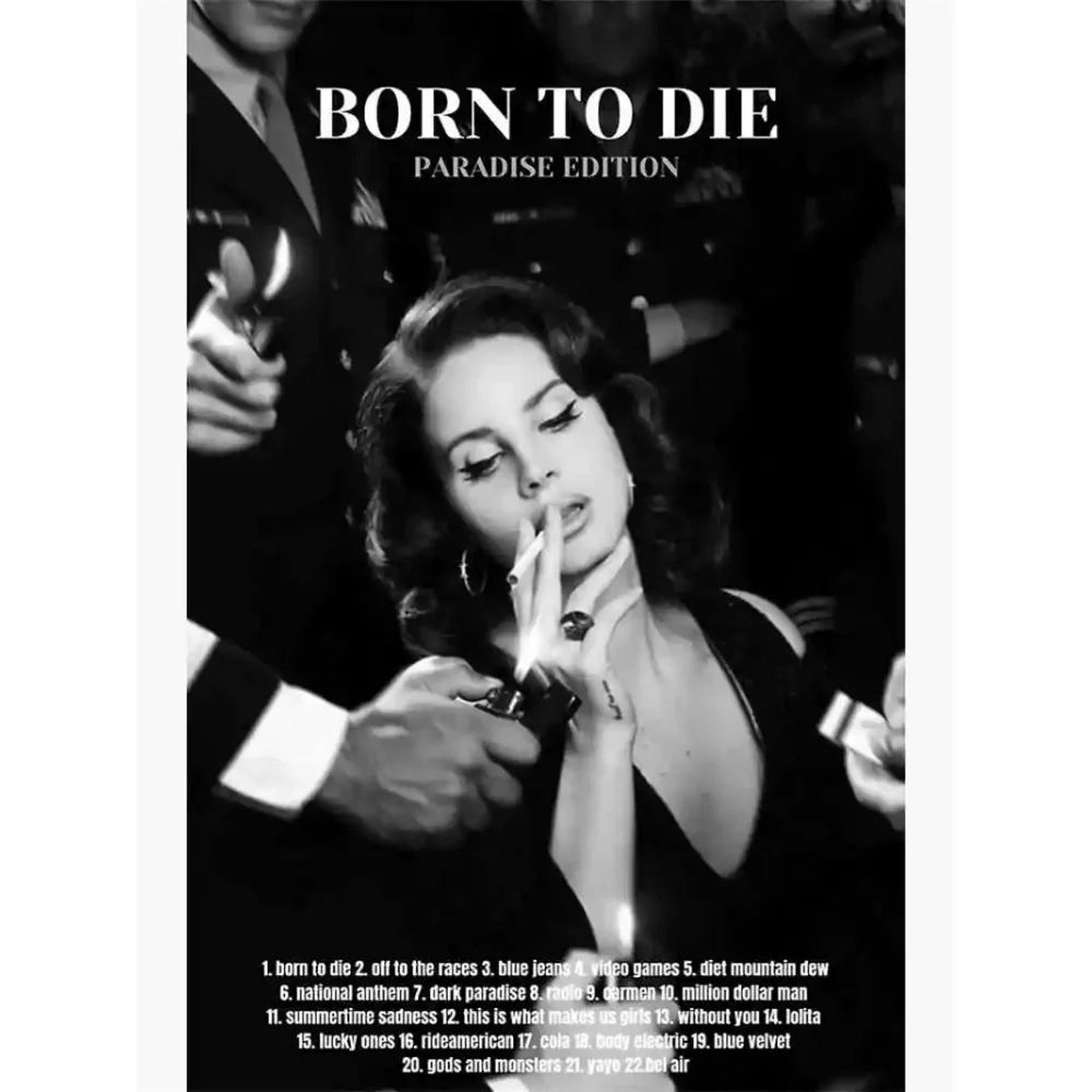 Lana Del Rey Aesthetic Canvas Wall Art  Vintage Music Album Poster For Room Decor 11