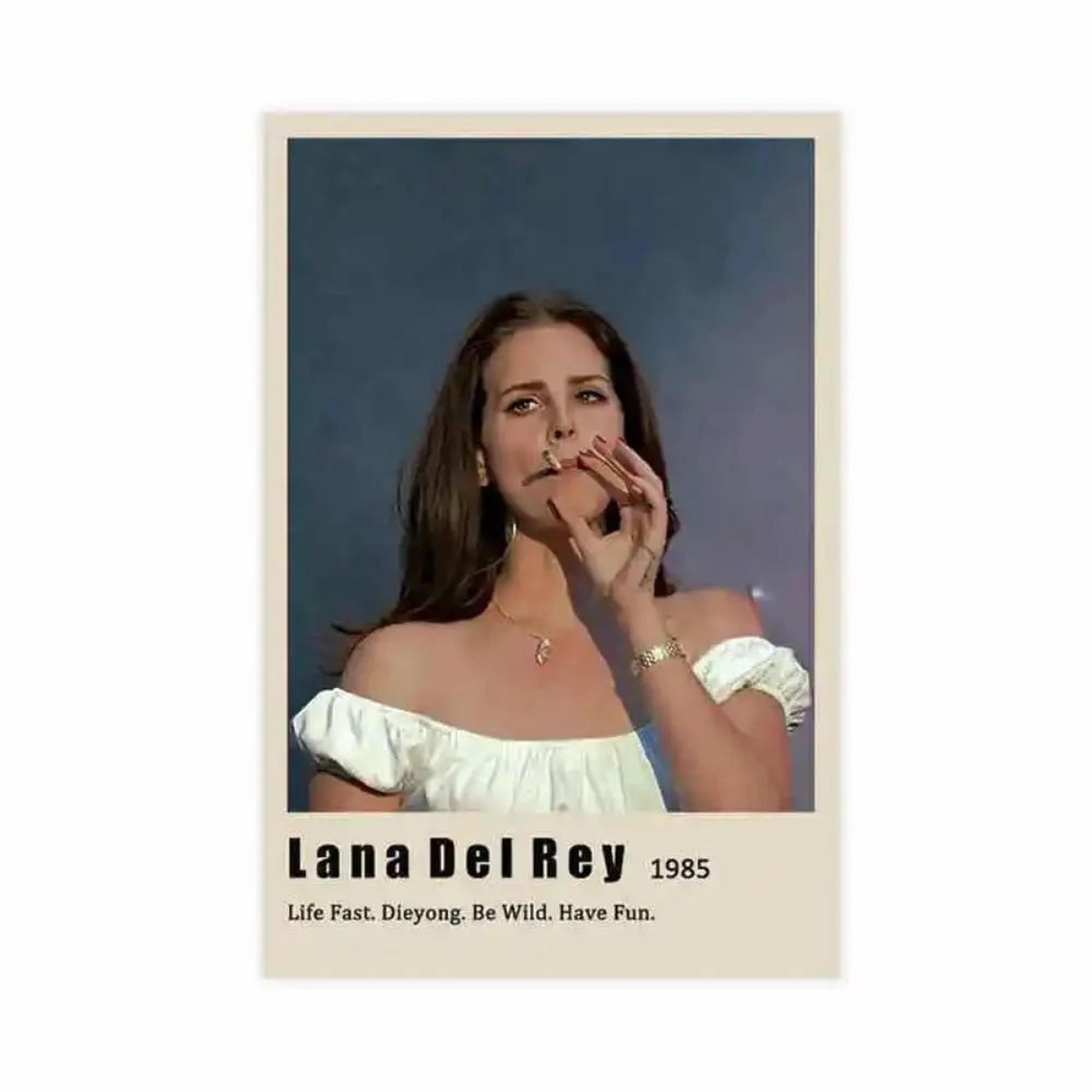 Lana Del Rey Aesthetic Canvas Wall Art  Vintage Music Album Poster For Room Decor 18