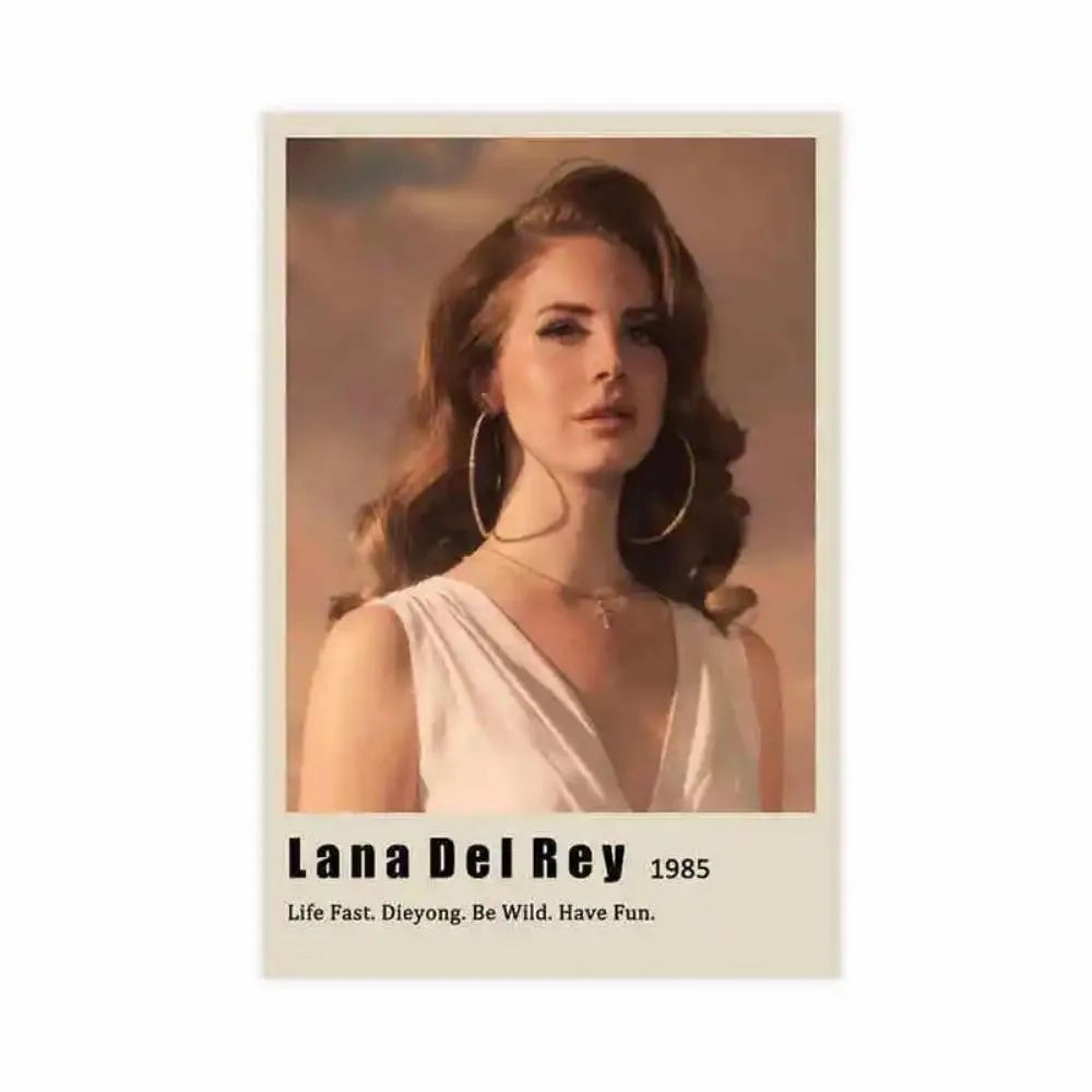 Lana Del Rey Aesthetic Canvas Wall Art  Vintage Music Album Poster For Room Decor 19