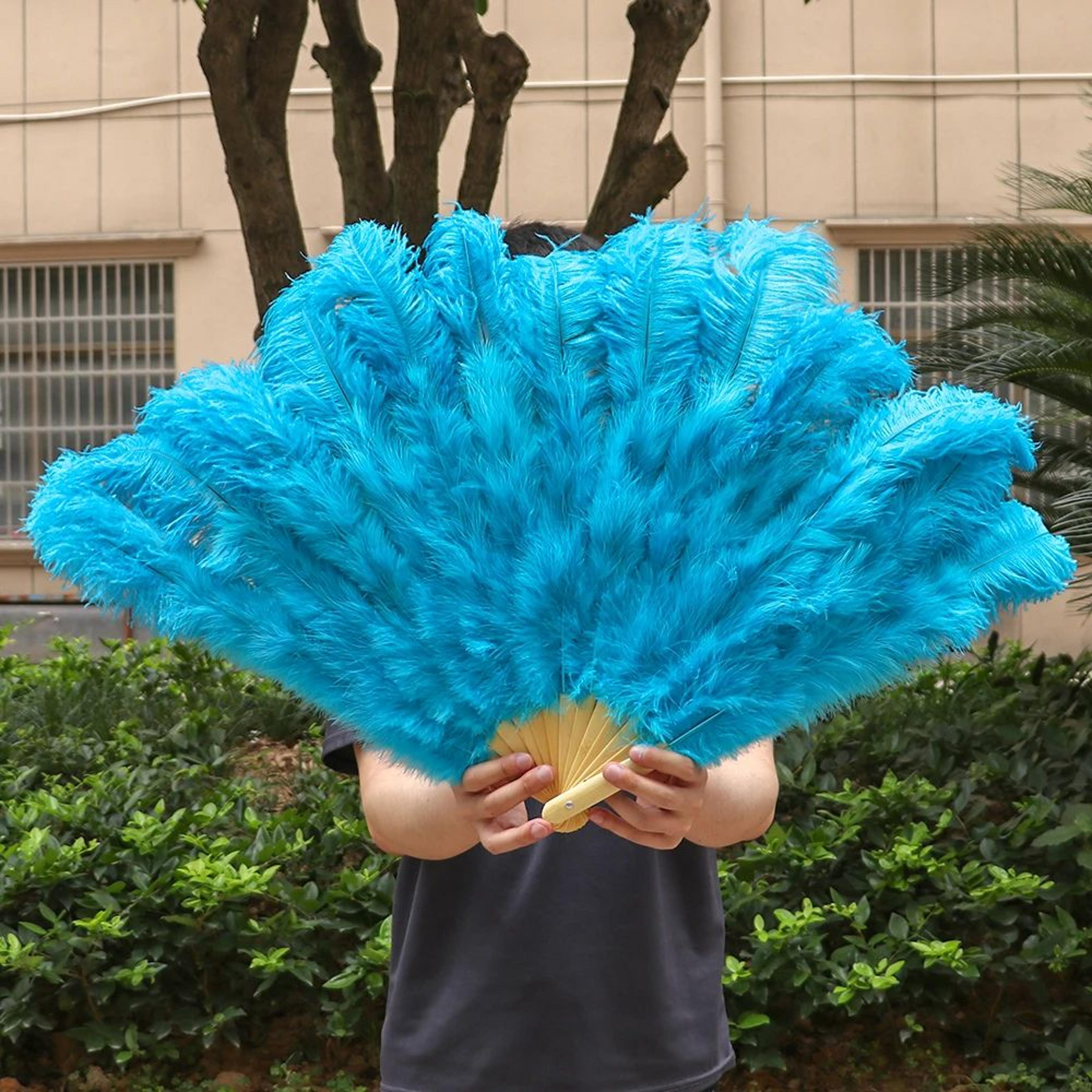 Luxury Ostrich Feather Fan  Large  Folding Dance Fan For Stage Carnival  Performance 20