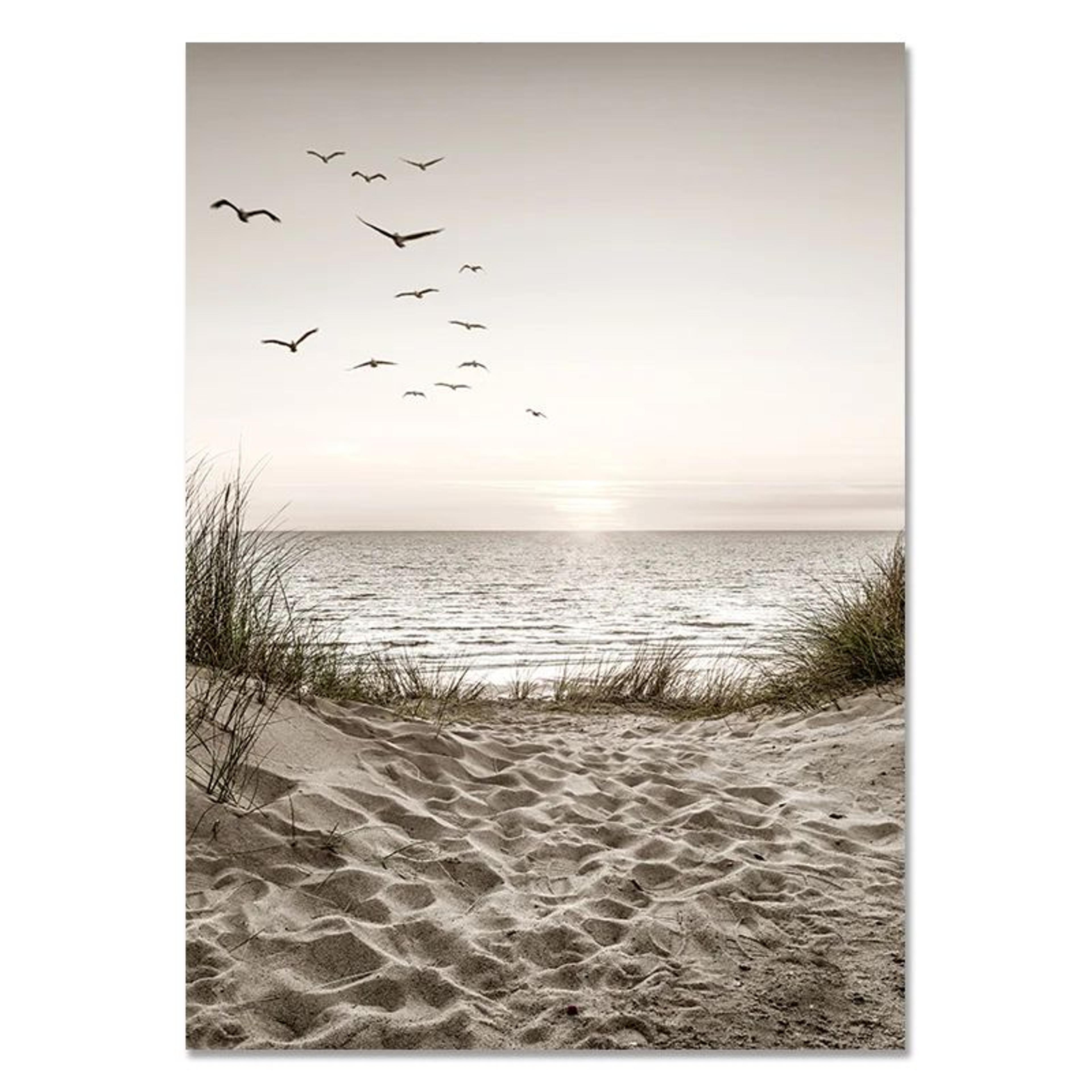 Nordic Beach Canvas Wall Art For Living Room  White Shell Dandelion Floral Home Decor 10