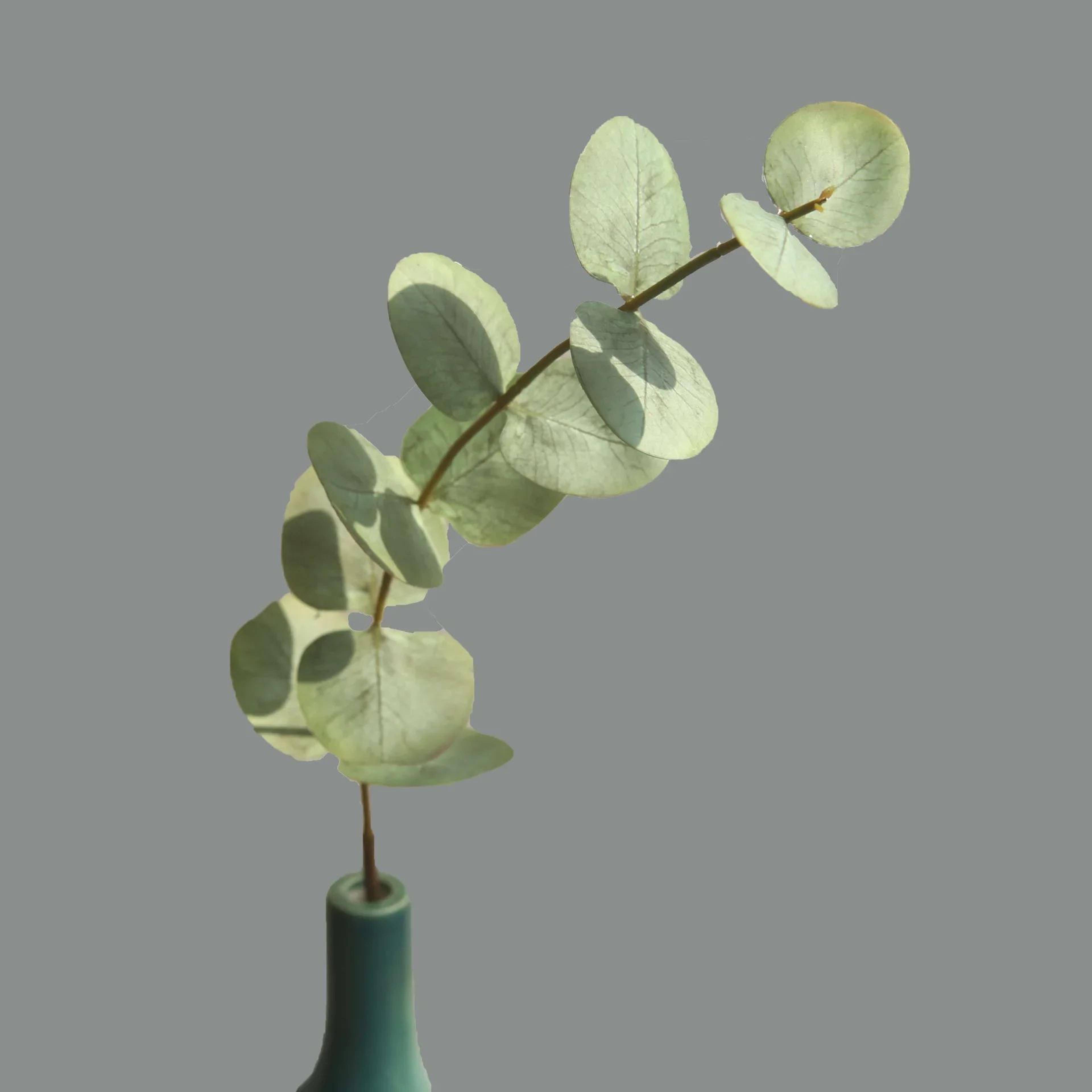 10pcs Real Touch Eucalyptus Leaves  Artificial Greenery Stems For Wedding Bouquet  Home Decor 6