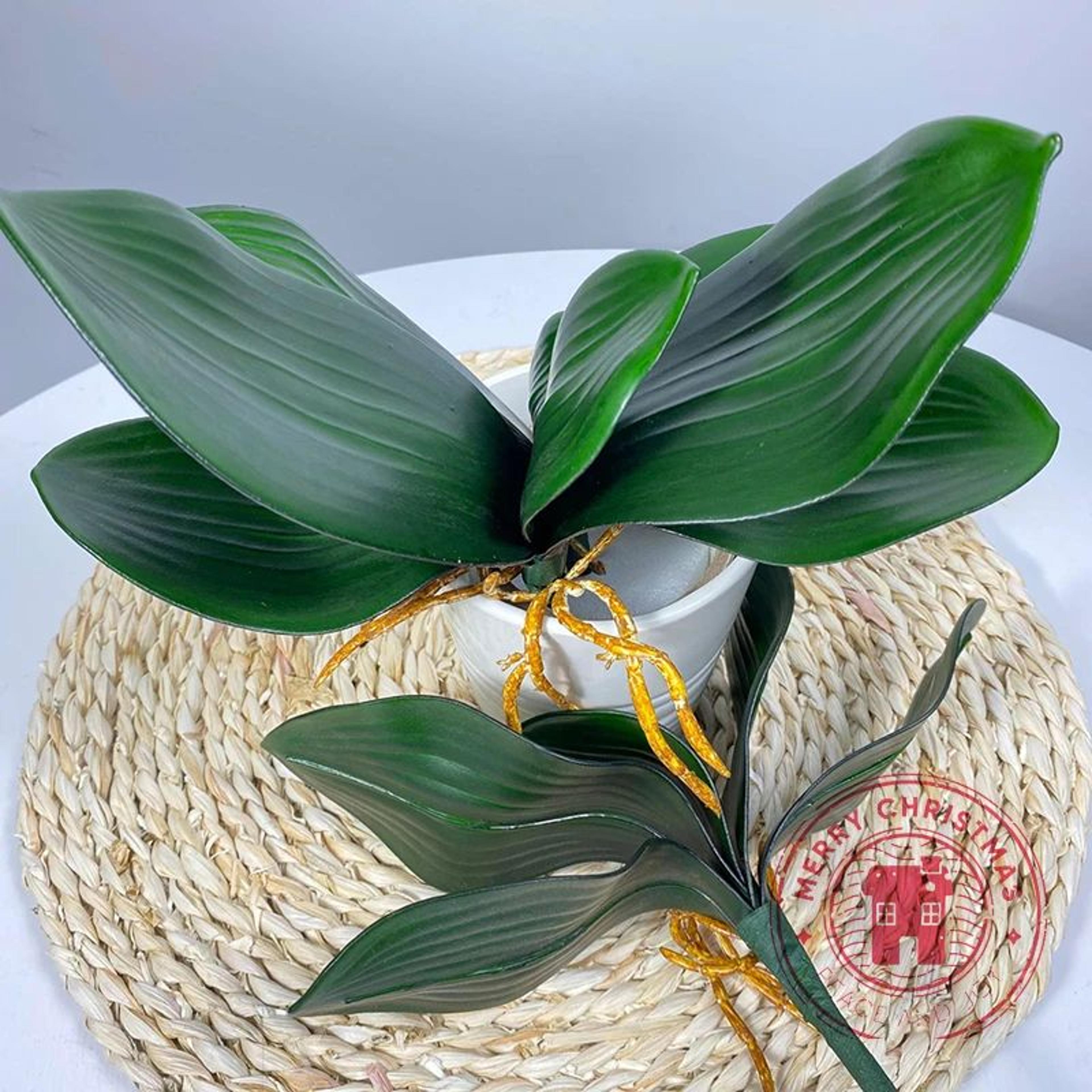 Realistic Phalaenopsis Orchid Leaves  Artificial Orchid Foliage For Elegant Home  Event Decor 1