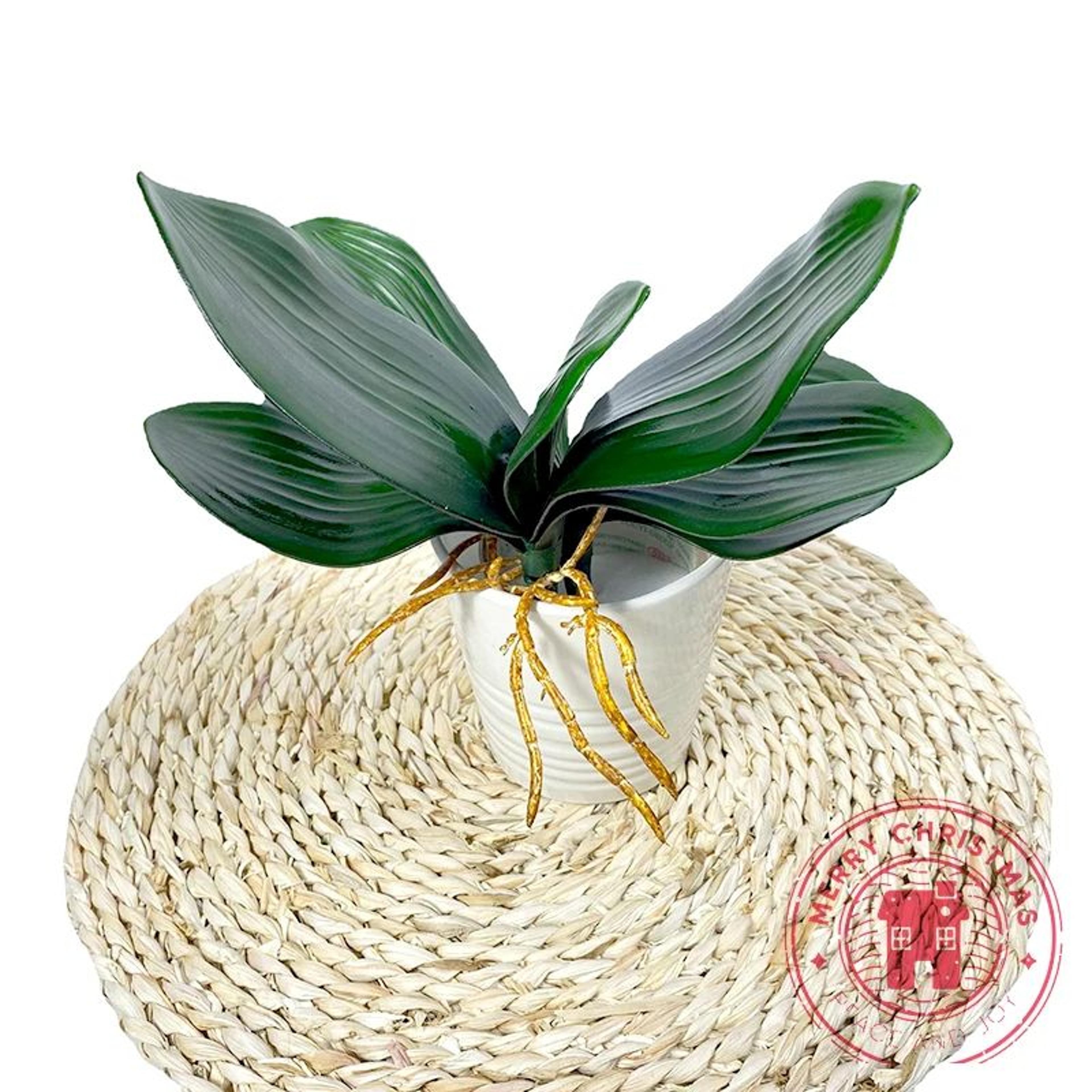 Realistic Phalaenopsis Orchid Leaves  Artificial Orchid Foliage For Elegant Home  Event Decor 3