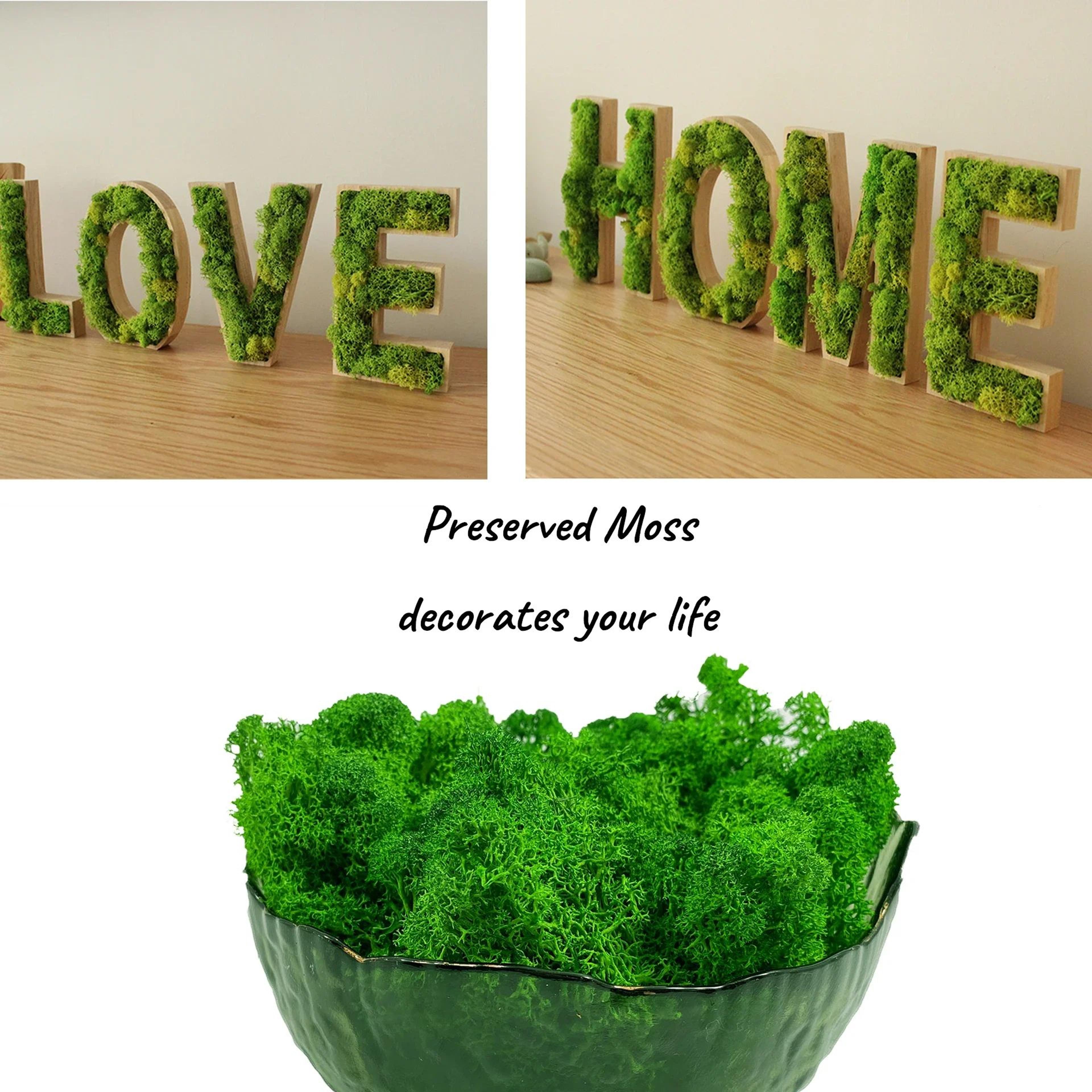 Artificial Reindeer Moss Decor  Faux Green Moss For Crafts Potted Plants  Wall Art 1