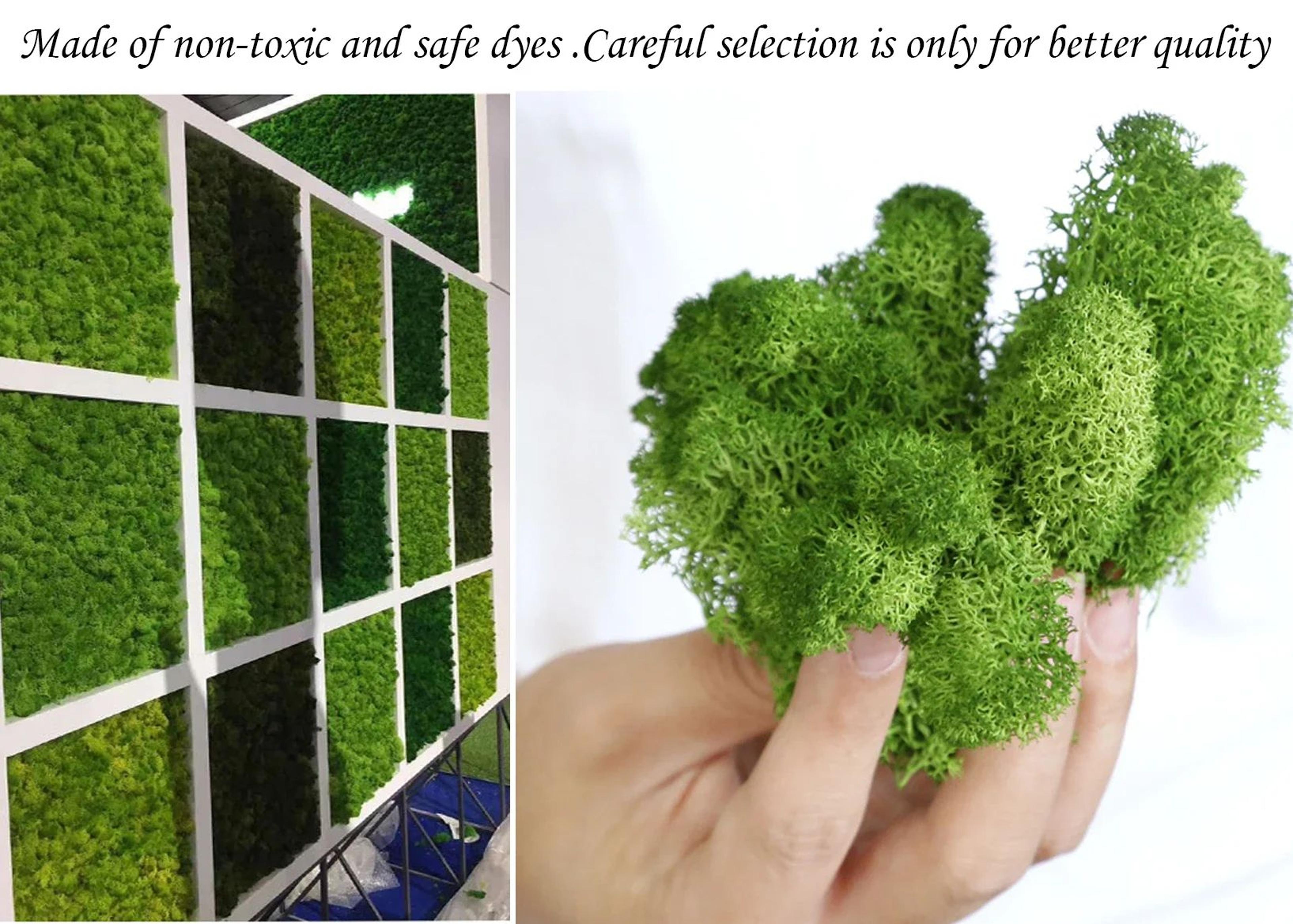 Artificial Reindeer Moss Decor  Faux Green Moss For Crafts Potted Plants  Wall Art 5
