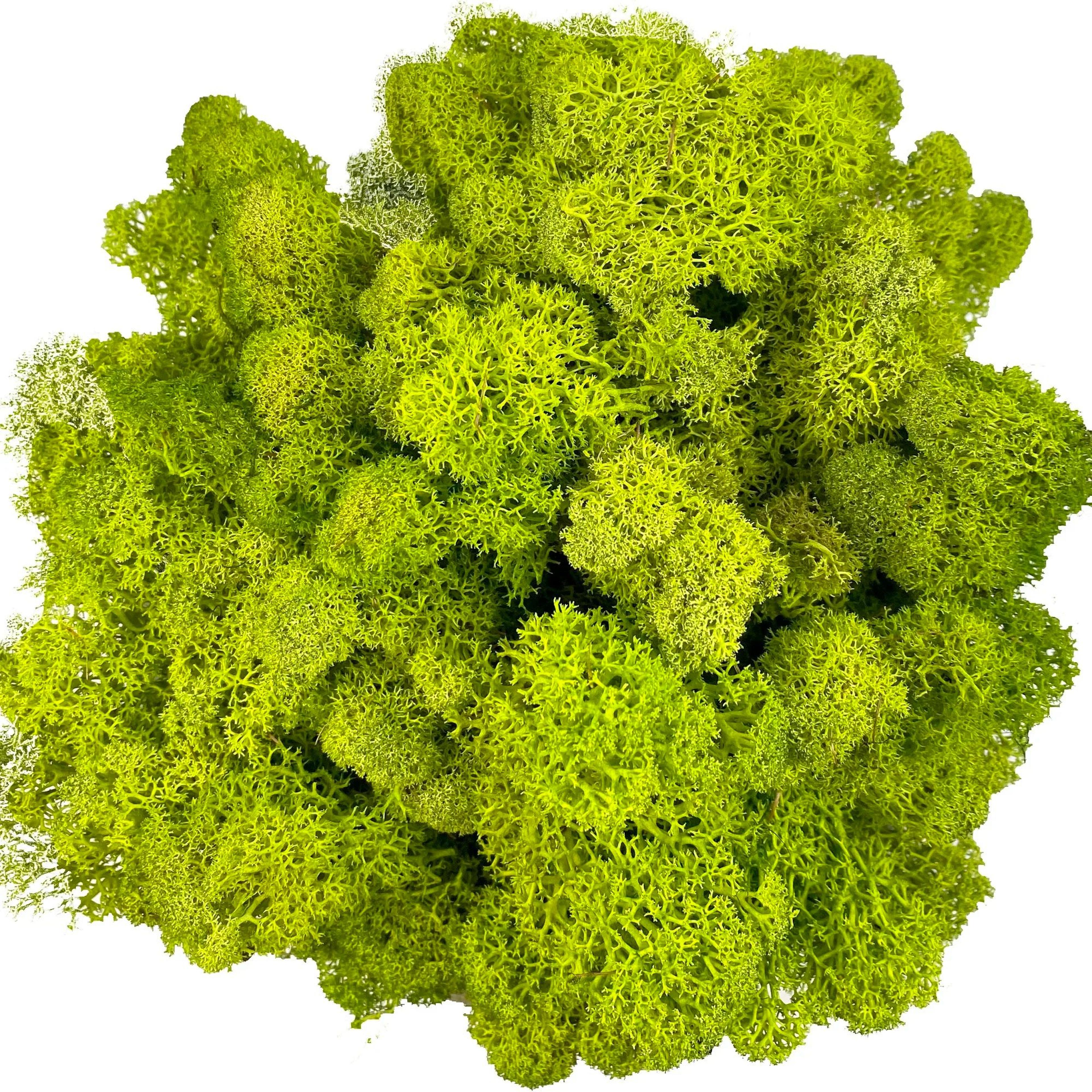 Artificial Reindeer Moss Decor  Faux Green Moss For Crafts Potted Plants  Wall Art 20