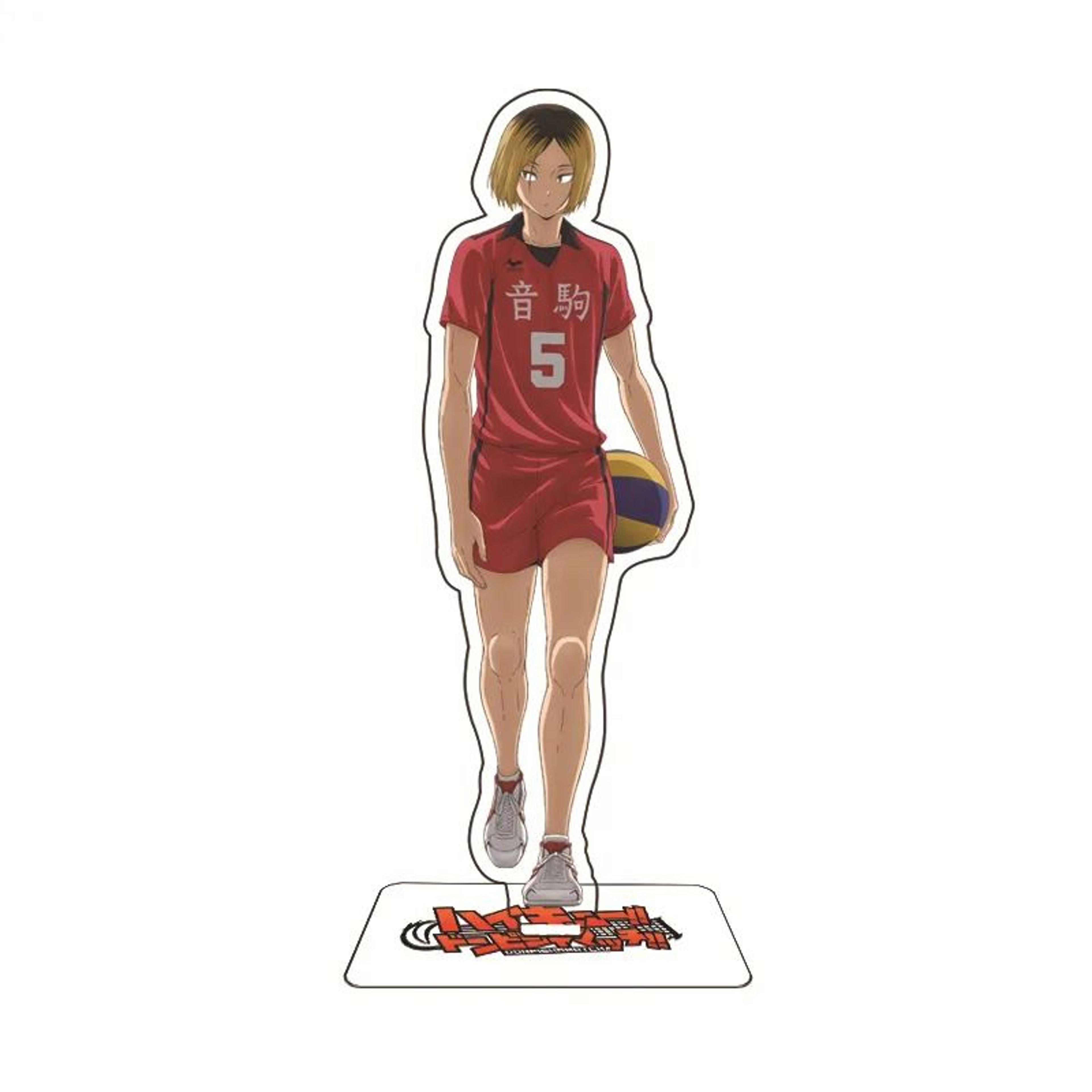 Haikyuu Acrylic Stand Figure  Anime Volleyball Character Desk Display Ornament 28