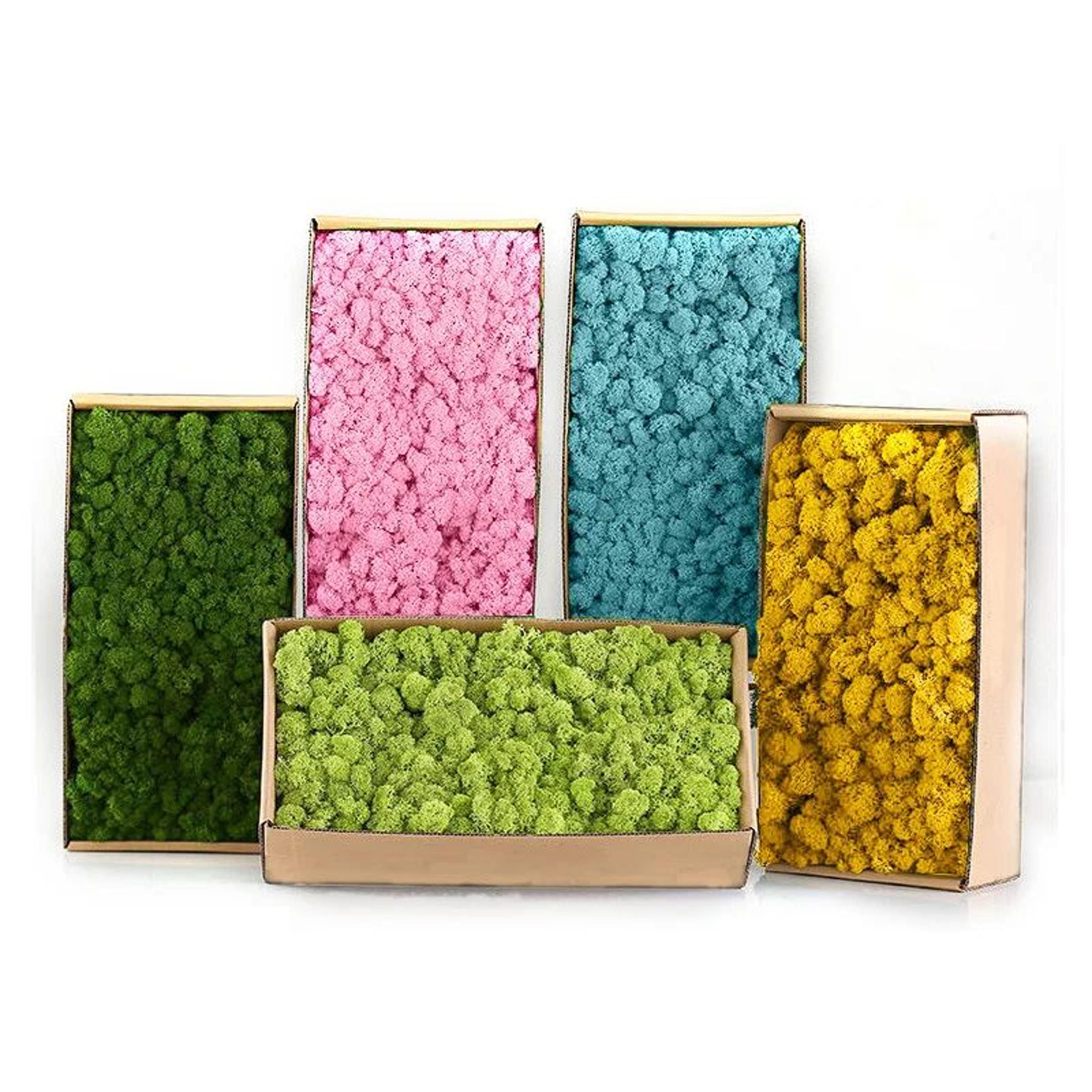 Artificial Moss Grass Decor  Realistic Fake Greenery For DIY Crafts  Home Decoration 0