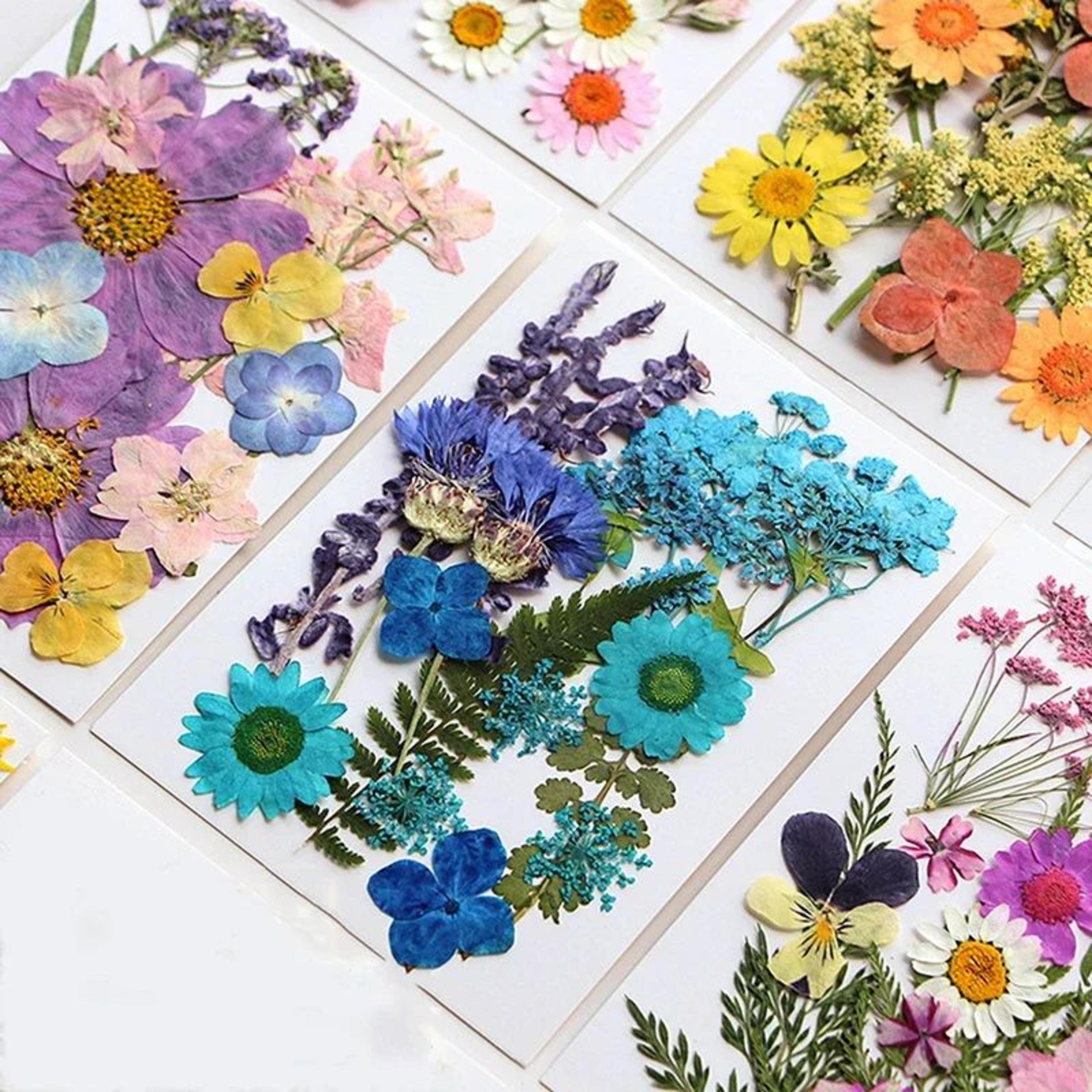 Premium Natural Dried Flower Resin Fillers  Real Pressed Flowers For Nail Art Jewelry  DIY Crafts 1