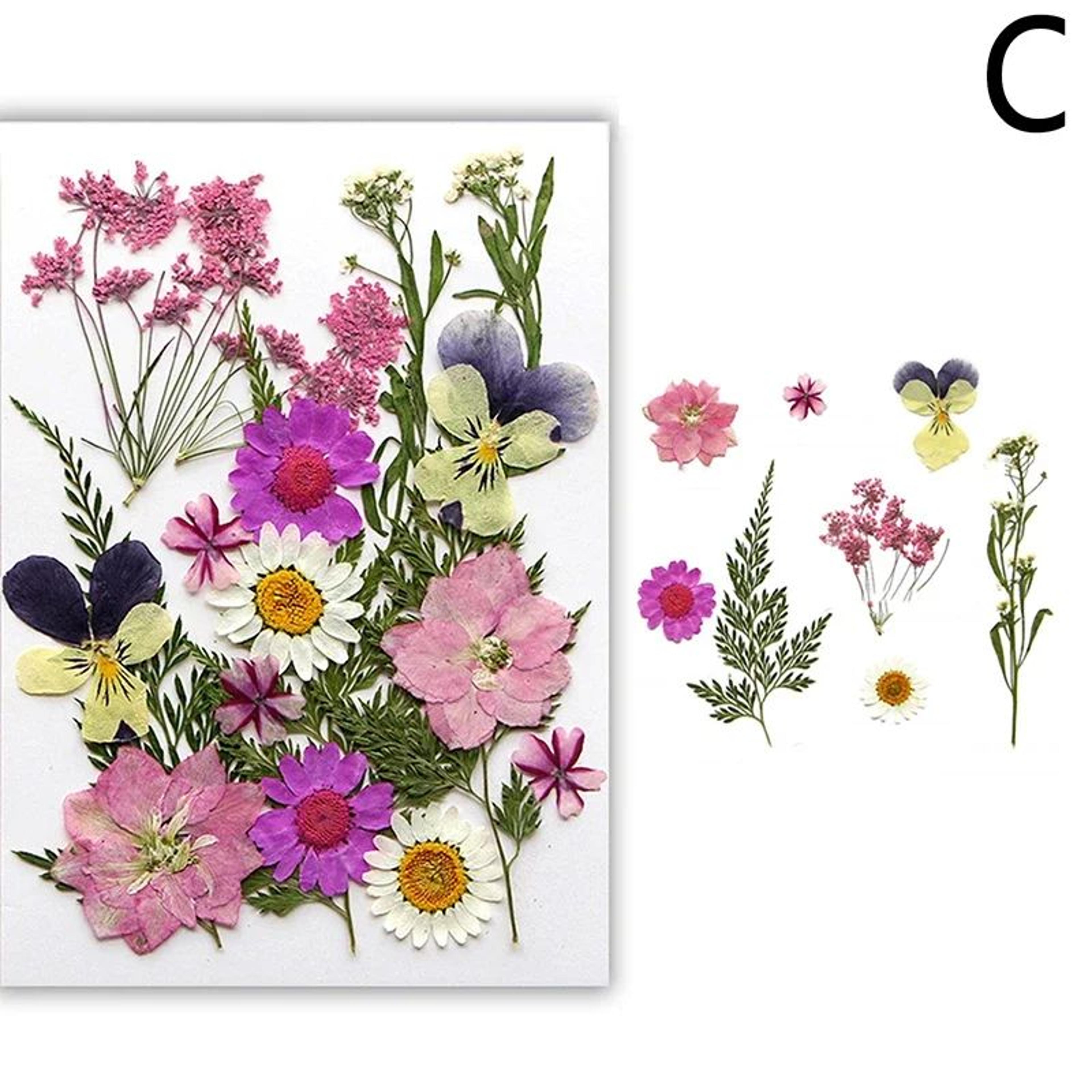 Premium Natural Dried Flower Resin Fillers  Real Pressed Flowers For Nail Art Jewelry  DIY Crafts 8